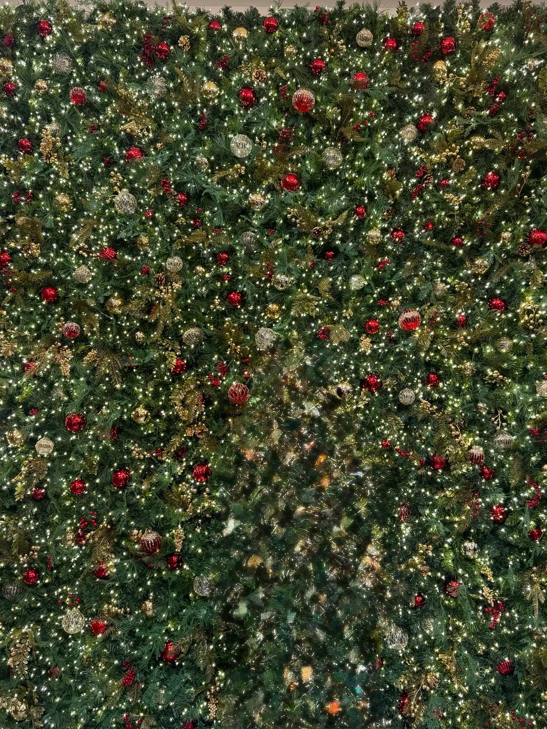 크루톡 이미지 8