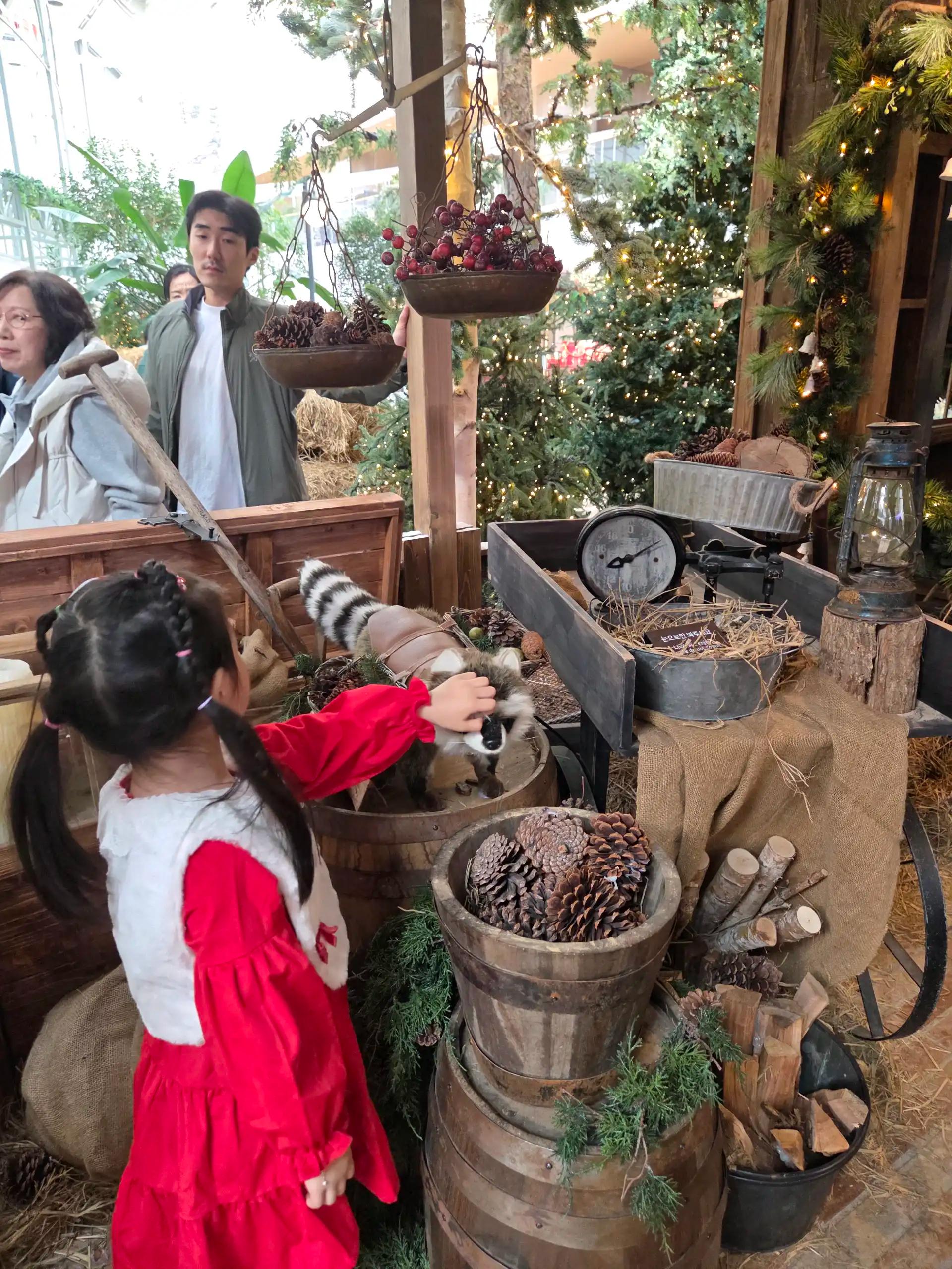 크루톡 이미지 2