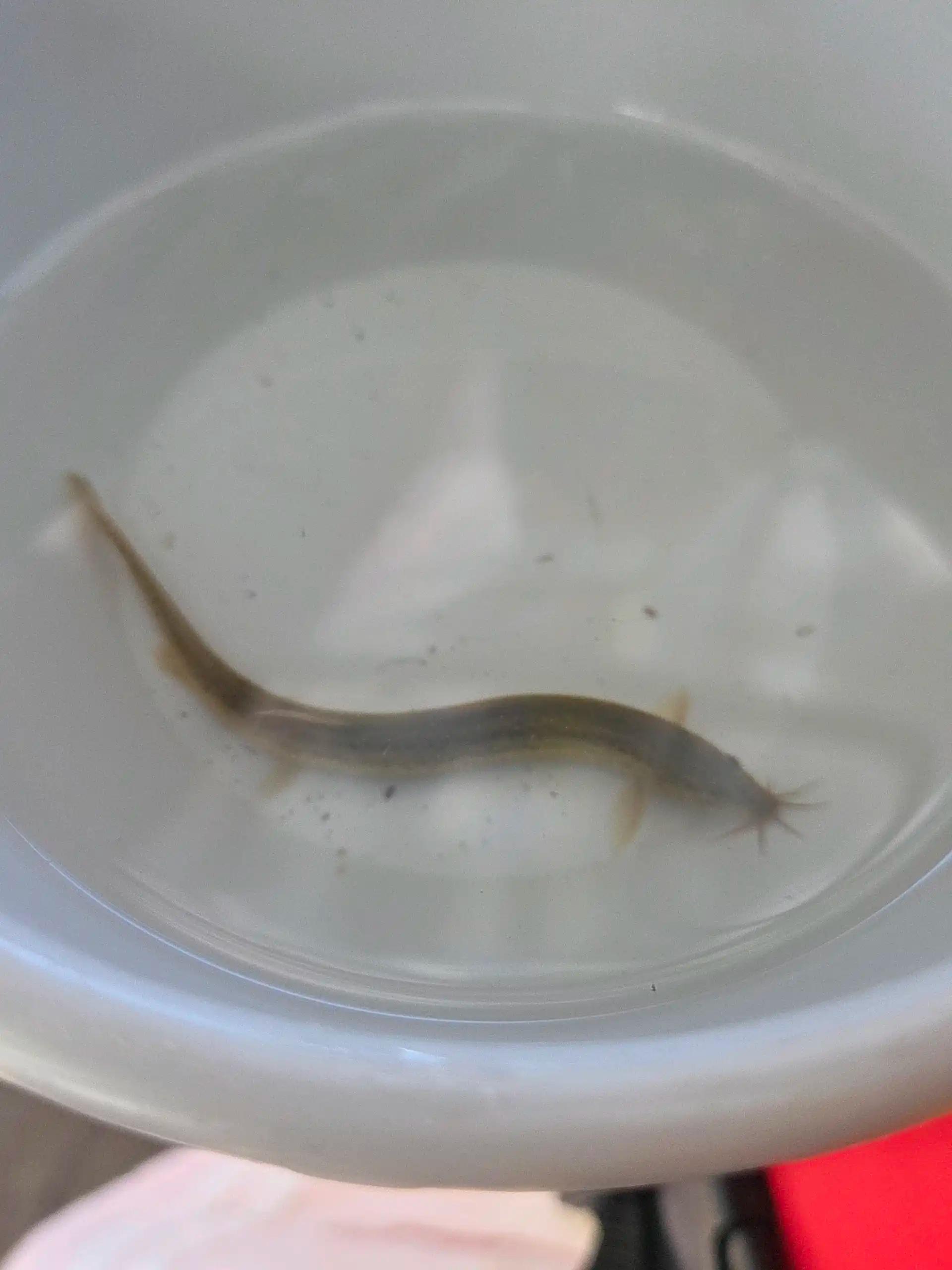 크루톡 이미지 3