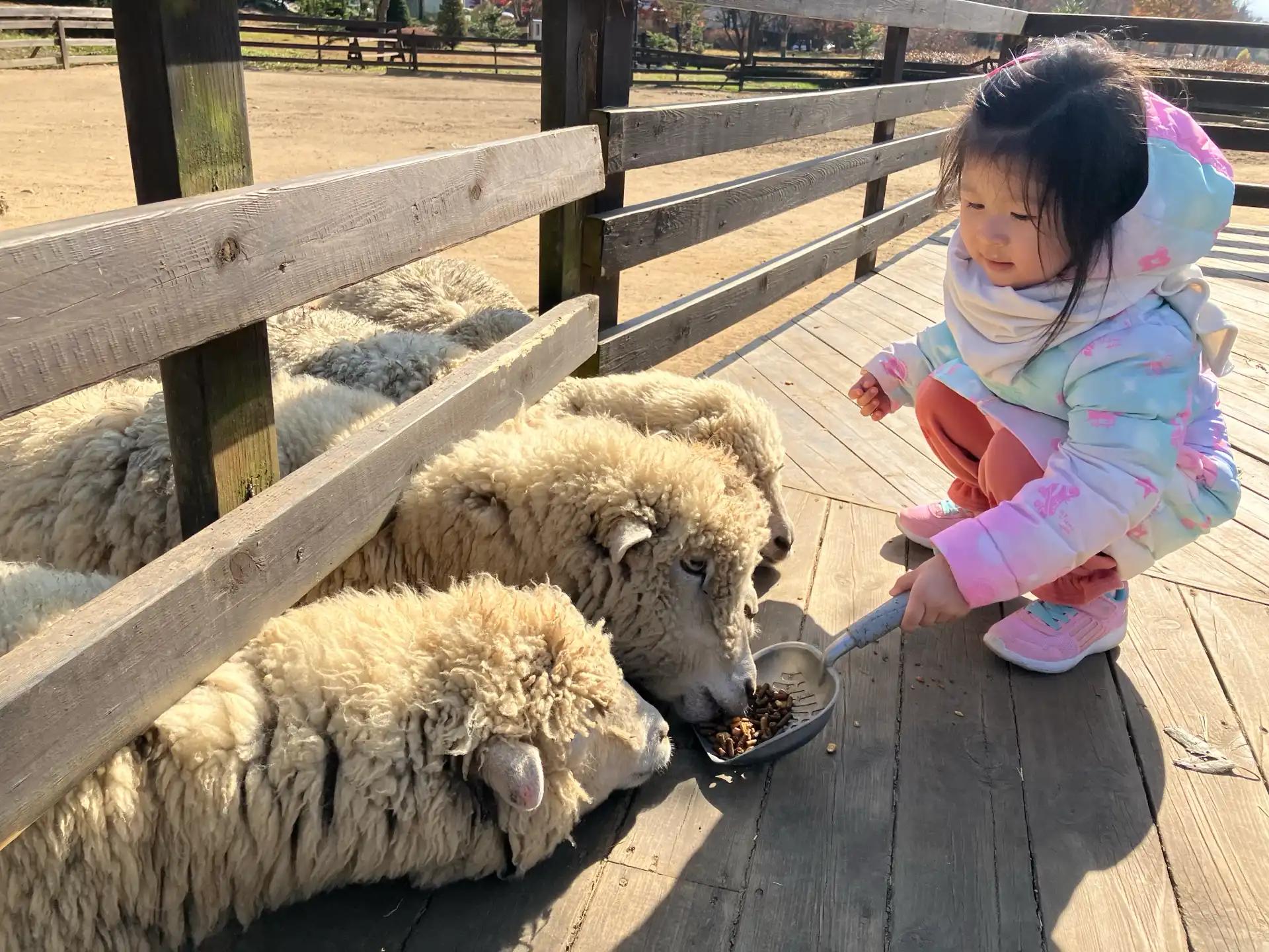 크루톡 이미지 4