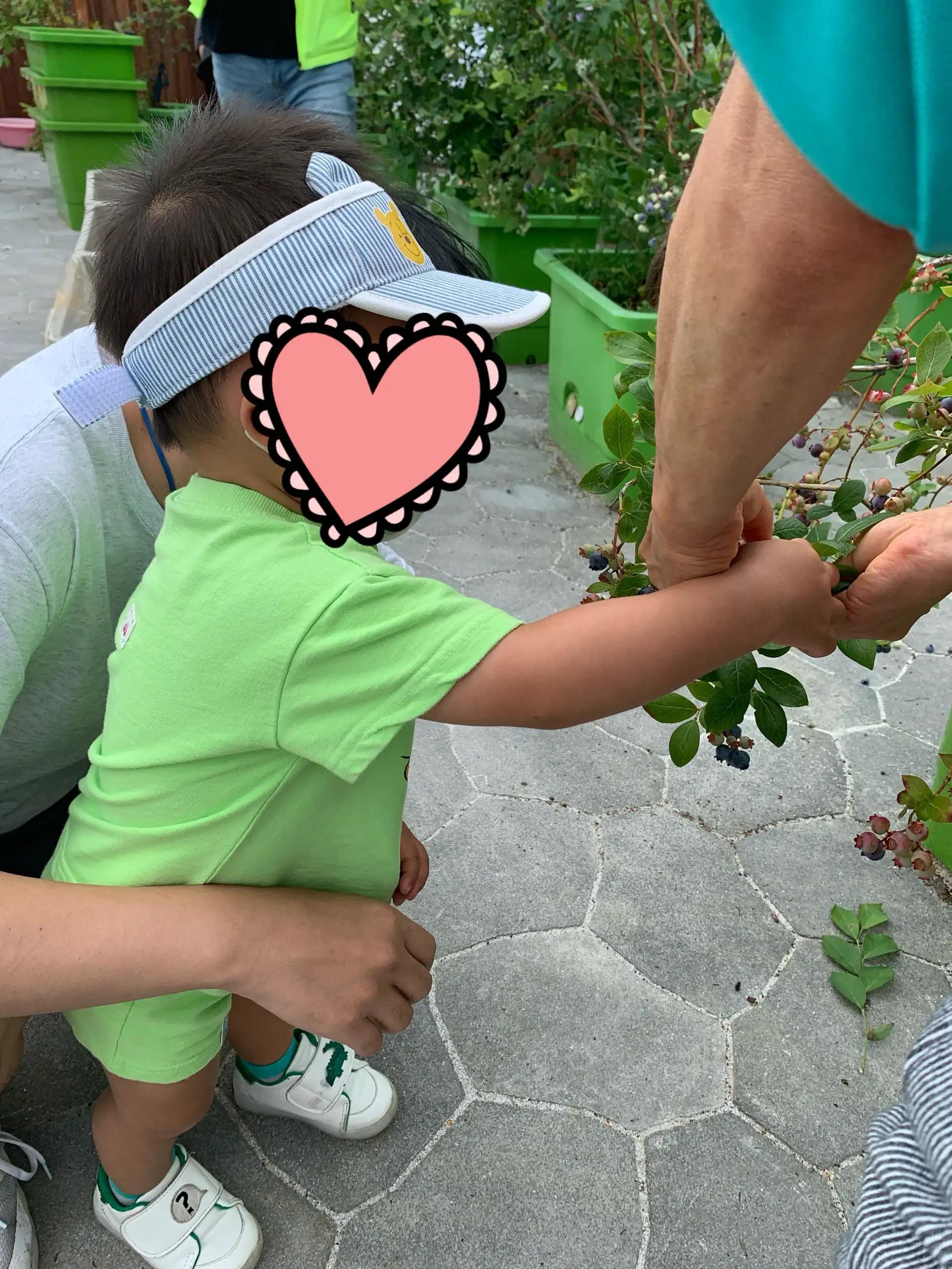 크루톡 이미지 2