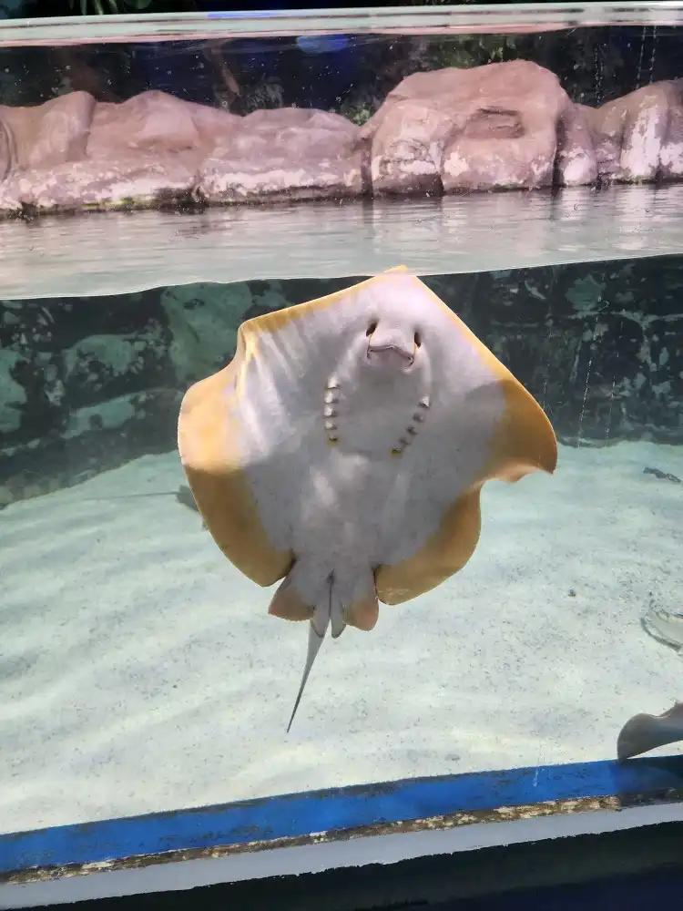 크루톡 이미지 2