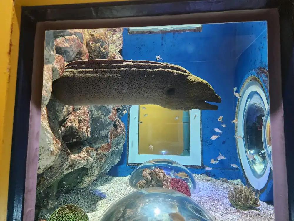 크루톡 이미지 3