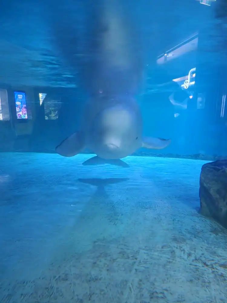 크루톡 이미지 4