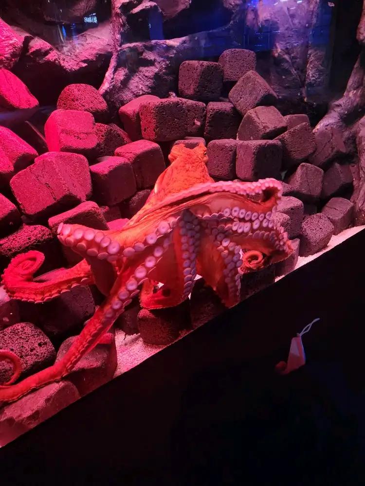 크루톡 이미지 5