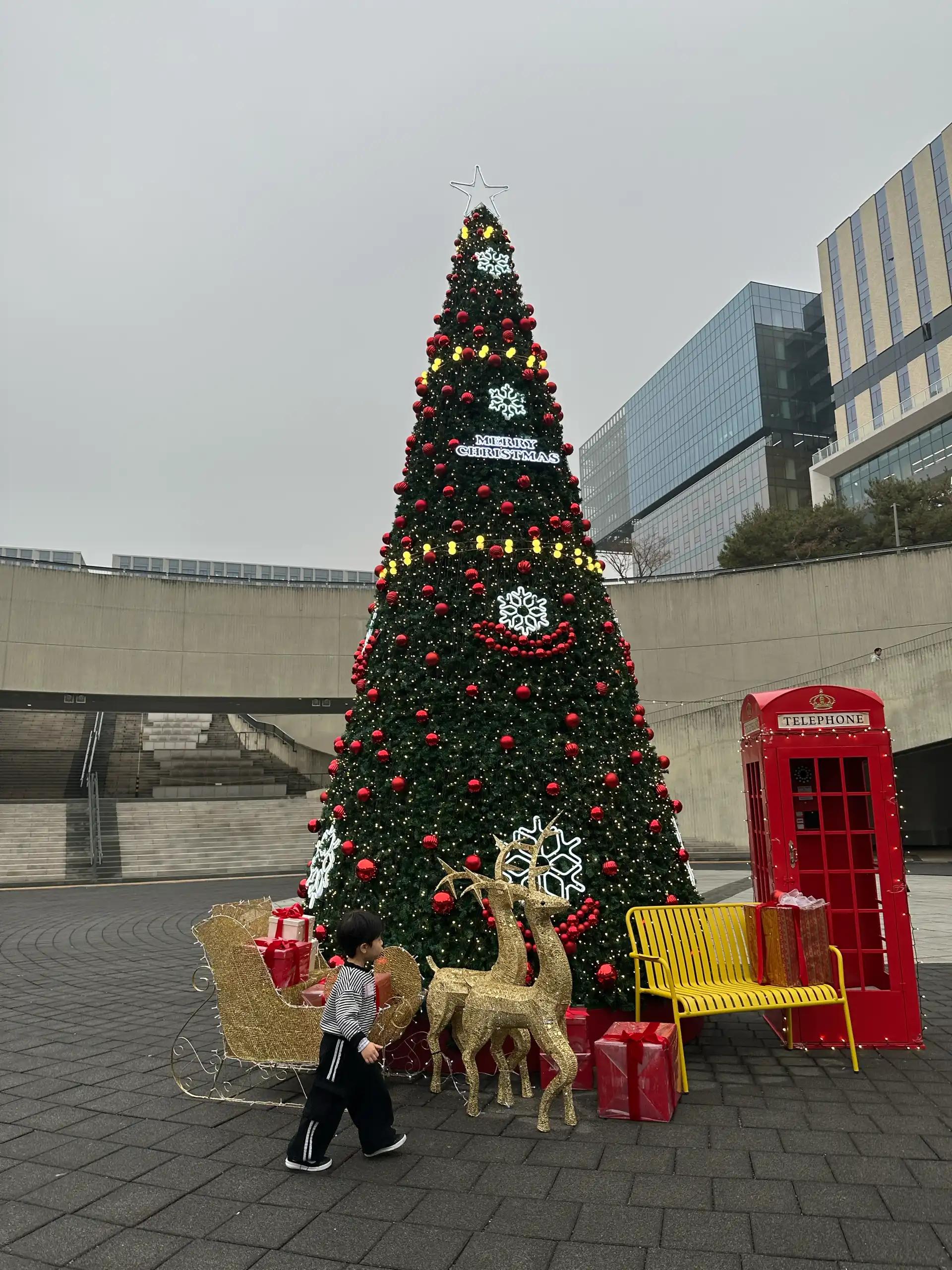 크루톡 이미지 2