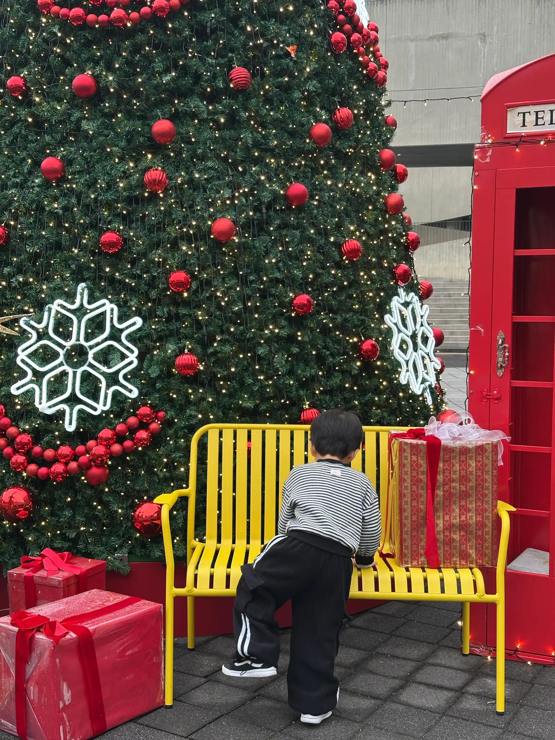 크루톡 이미지 3