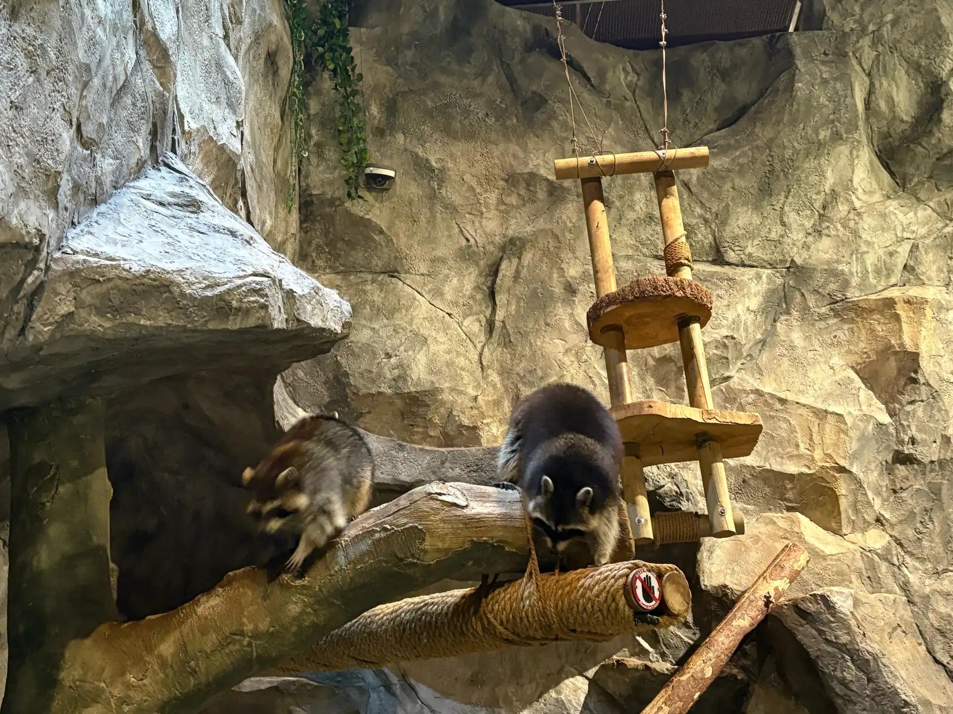 크루톡 이미지 2