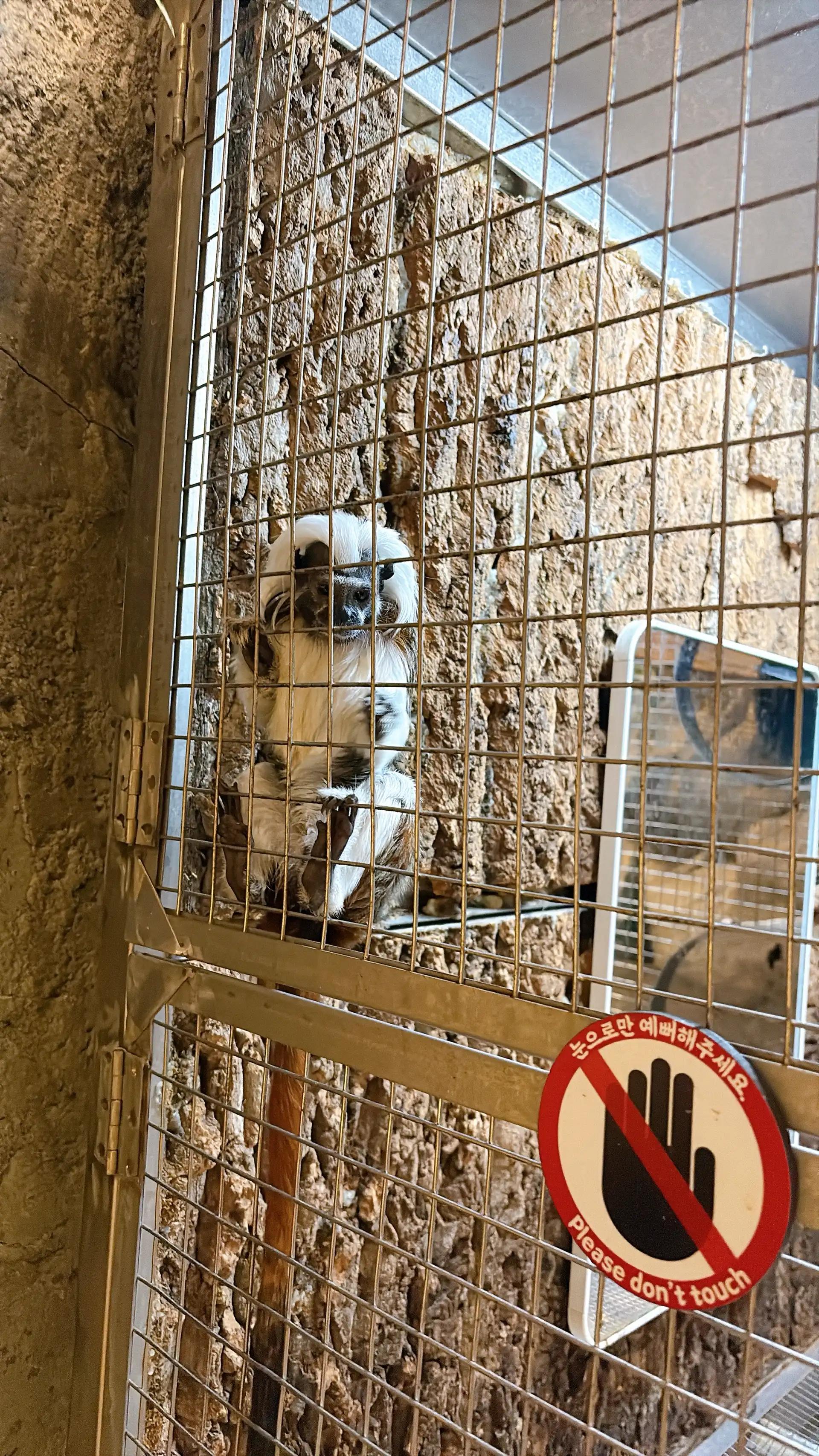 크루톡 이미지 3