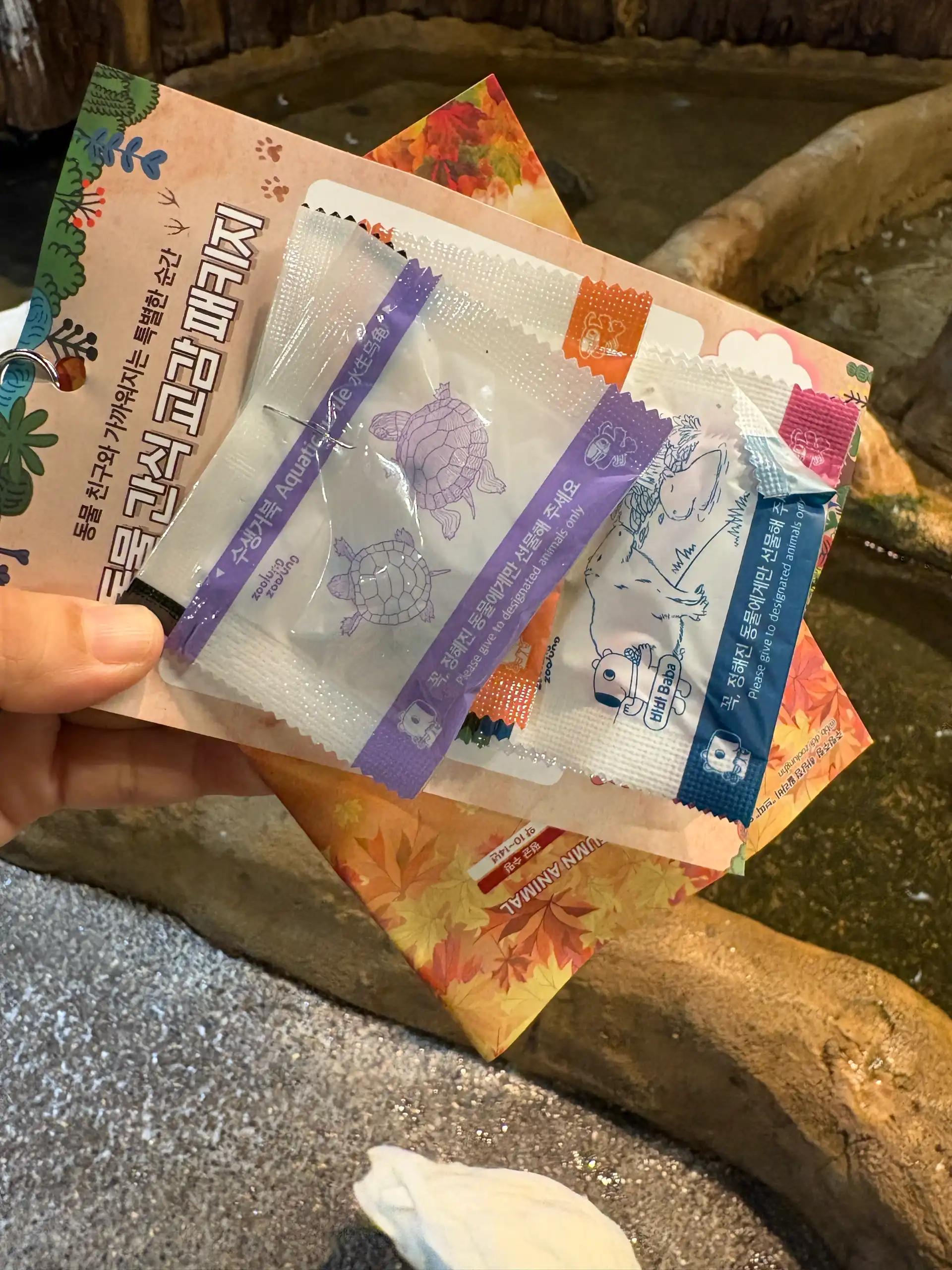 크루톡 이미지 4