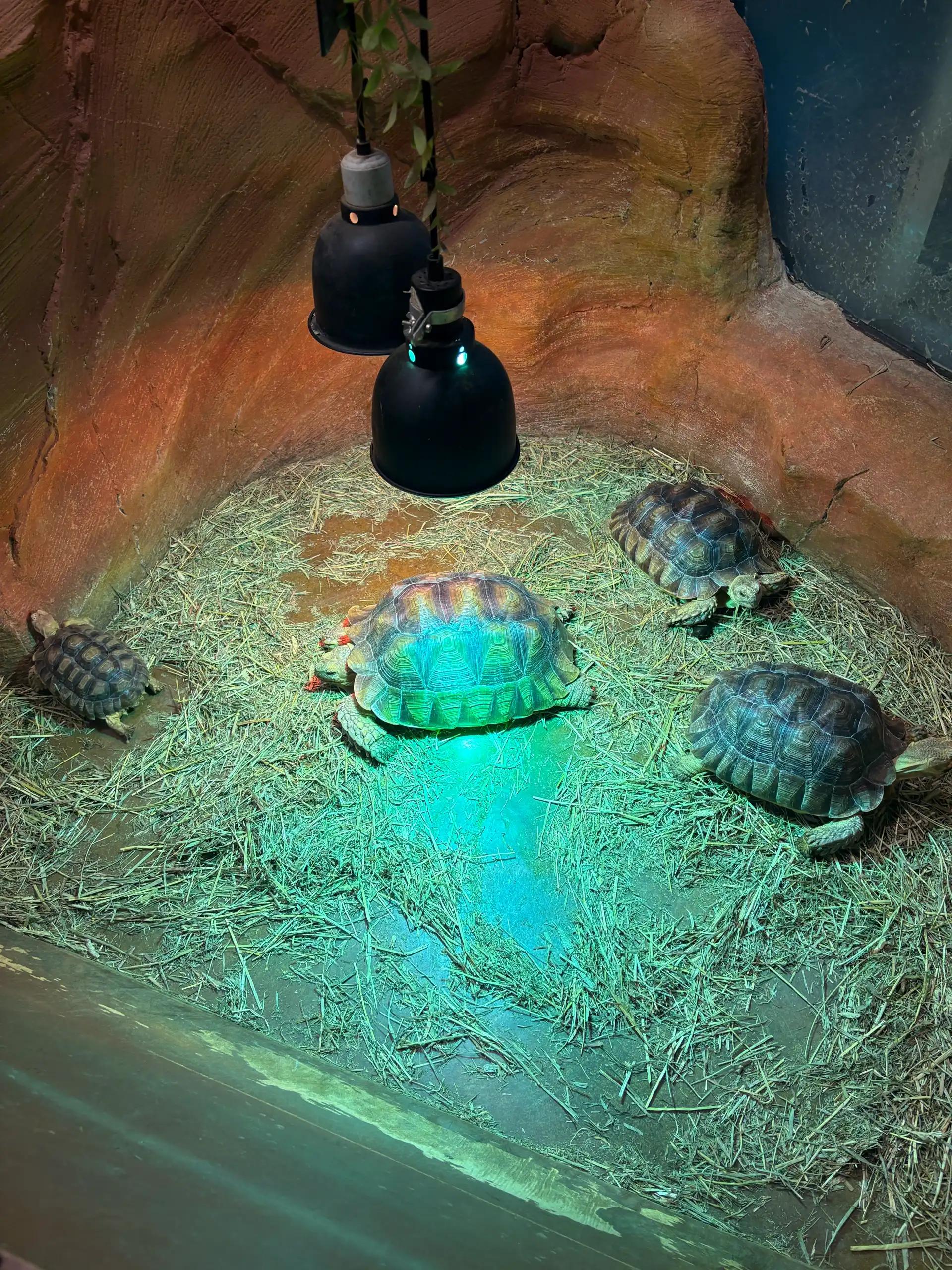 크루톡 이미지 6