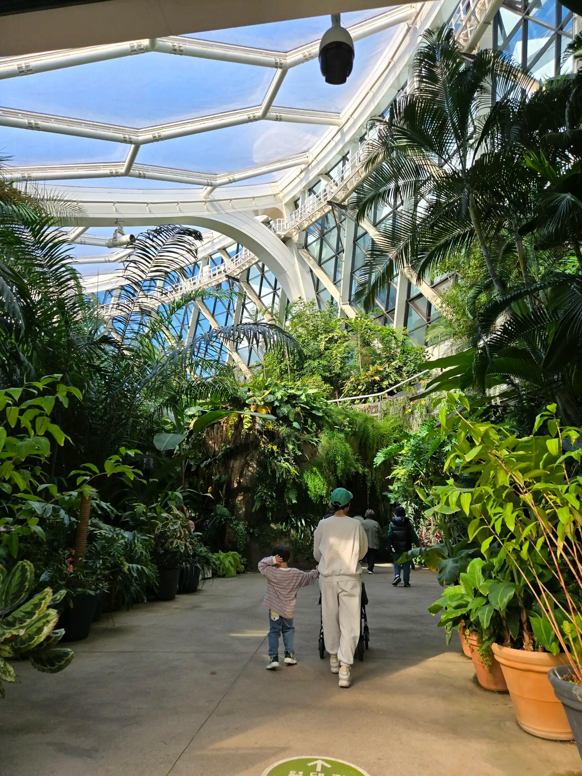 크루톡 이미지 2