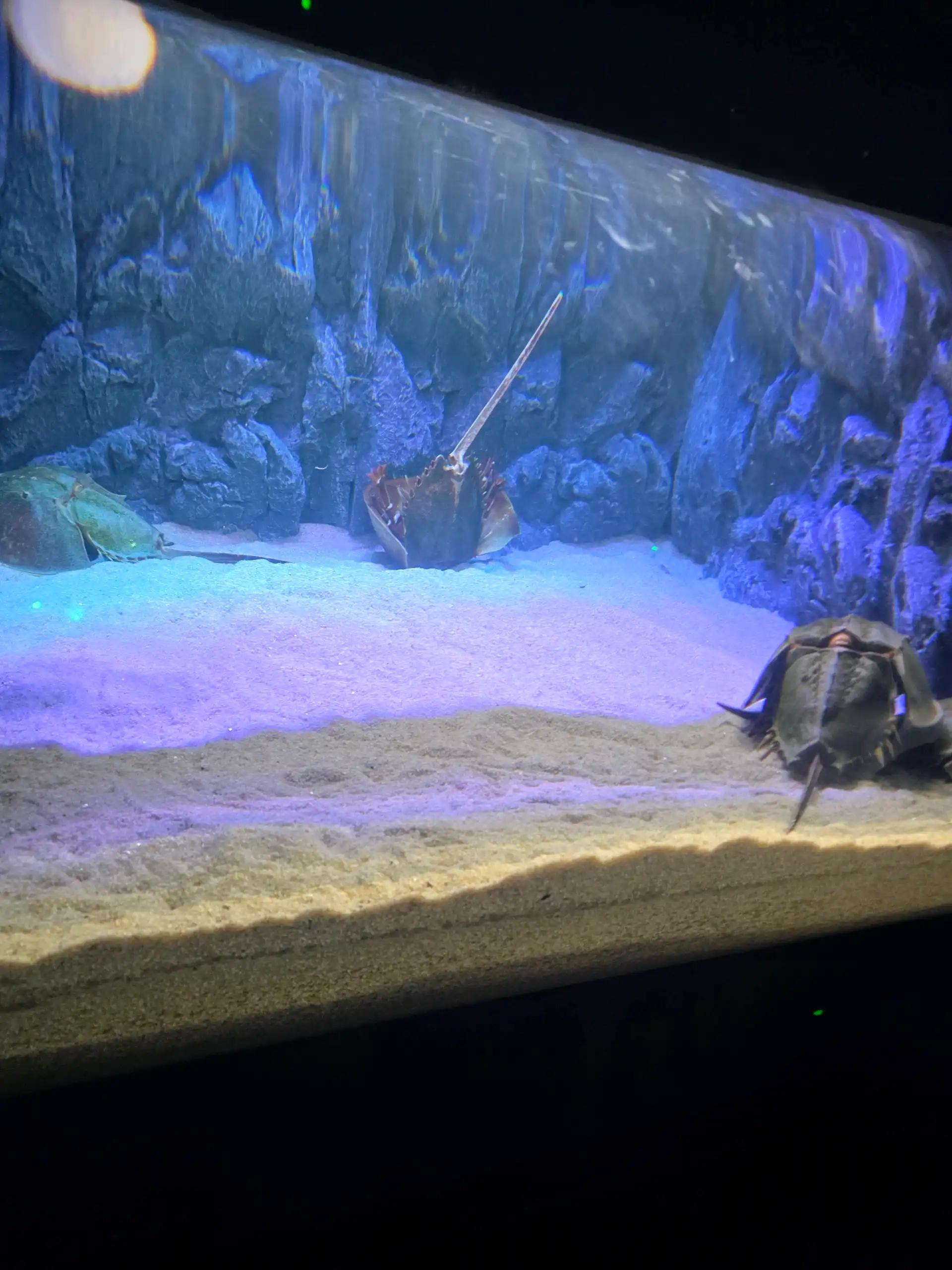 크루톡 이미지 2