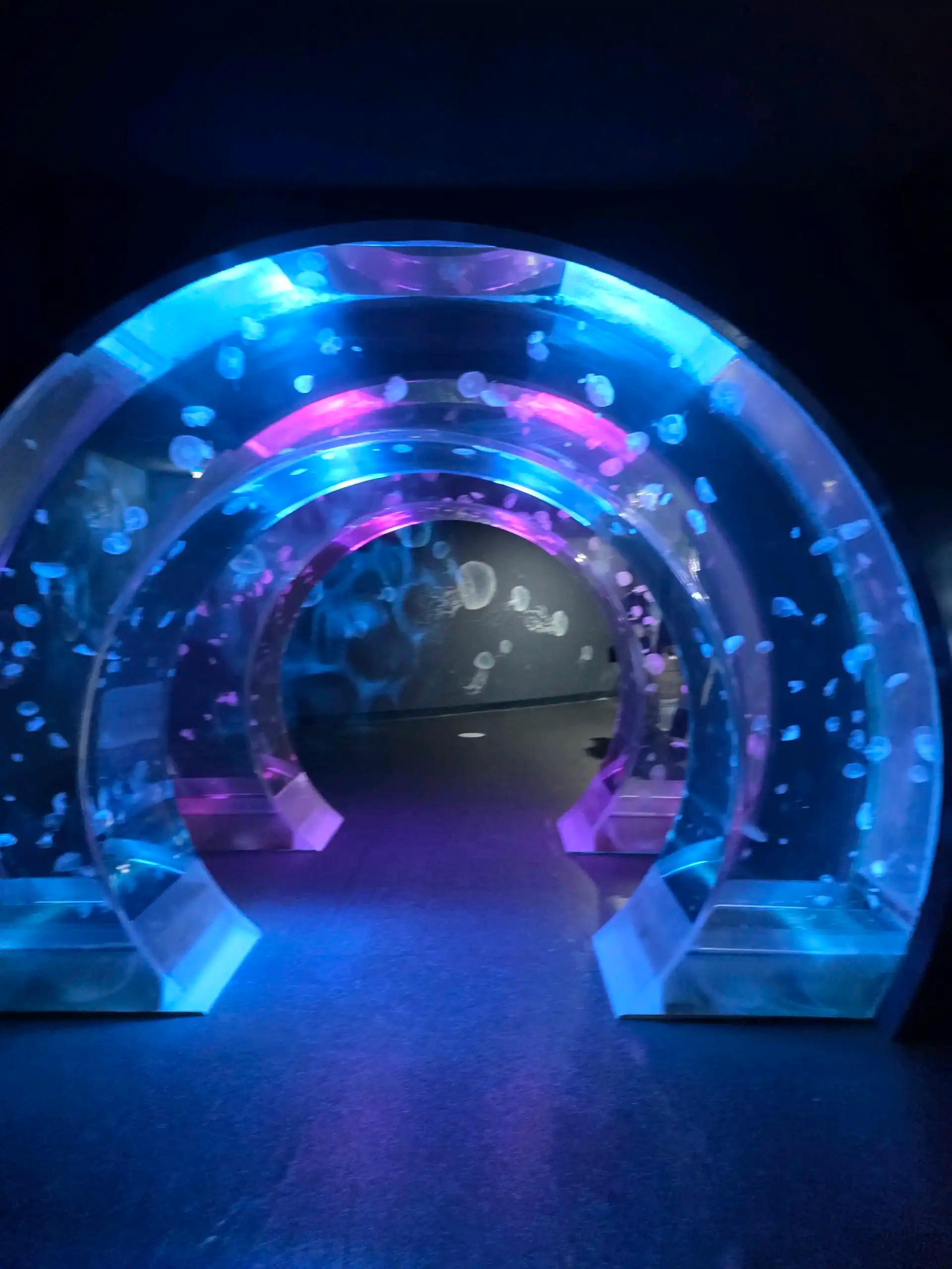 크루톡 이미지 3