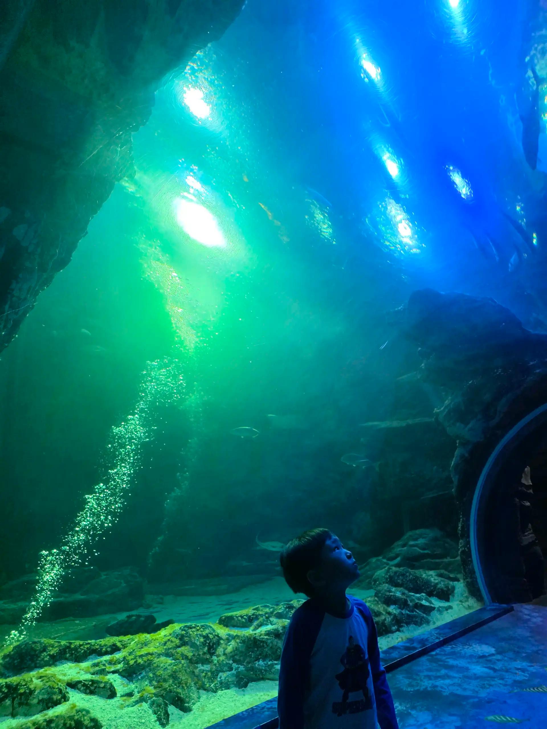 크루톡 이미지 4