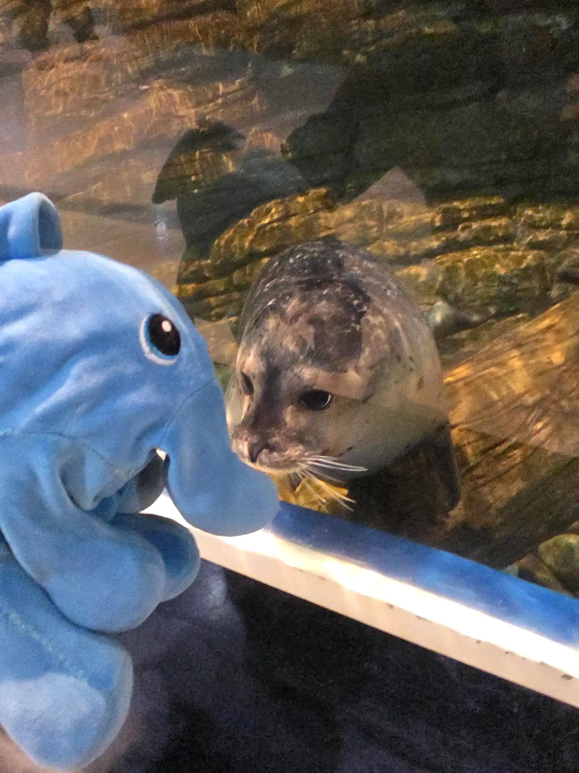 크루톡 이미지 5