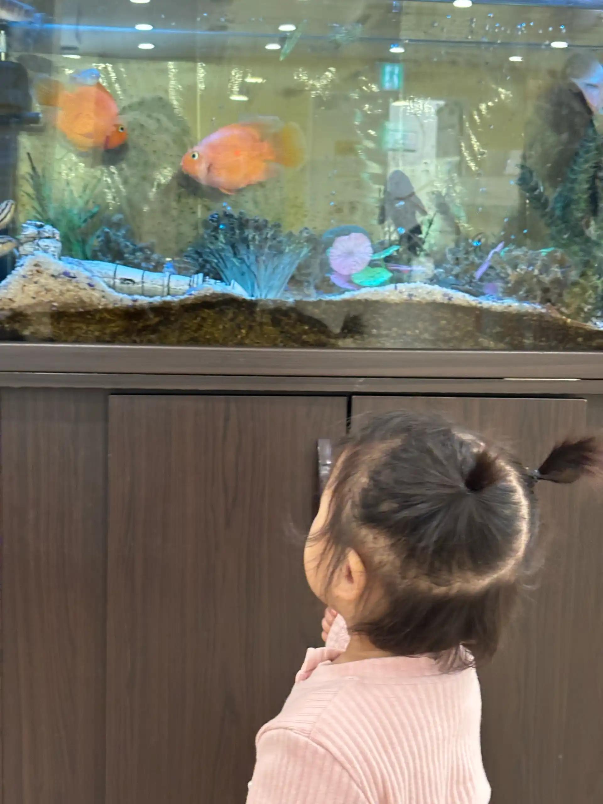 크루톡 이미지 2