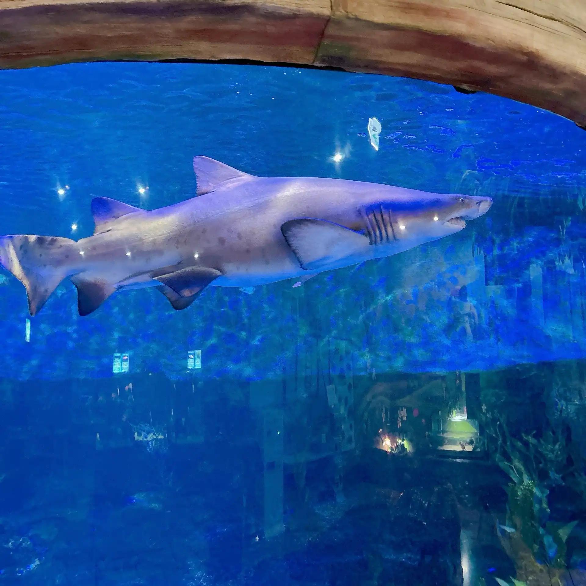 크루톡 이미지 6