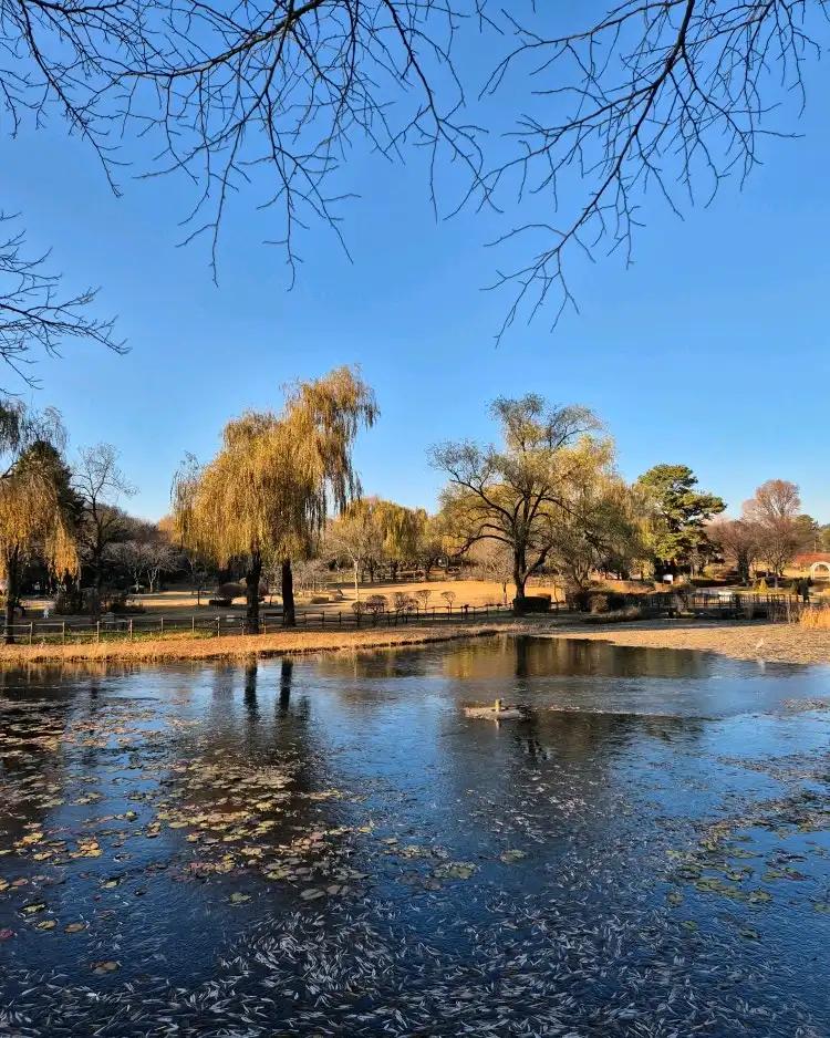 크루톡 이미지 2