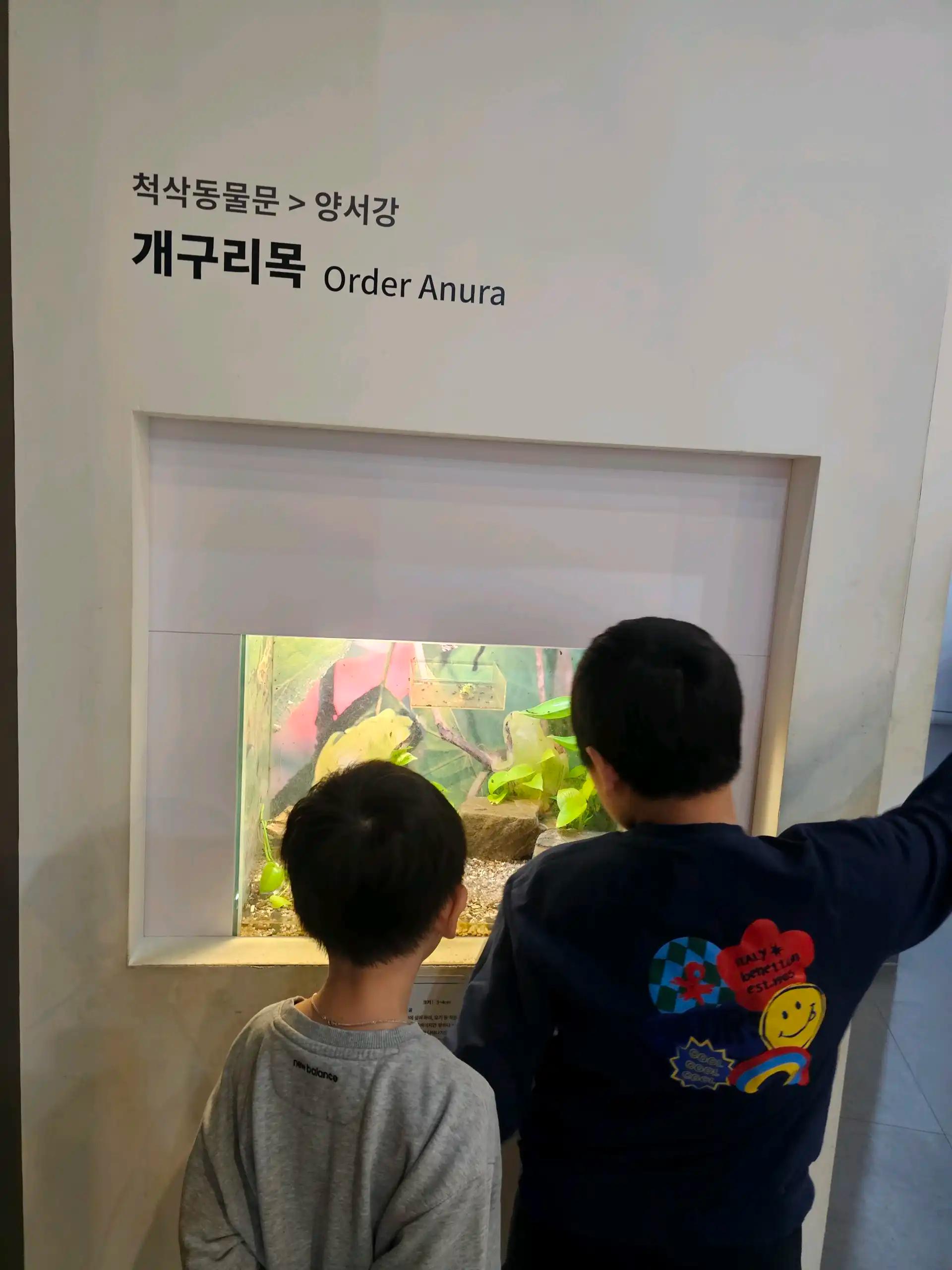 크루톡 이미지 5