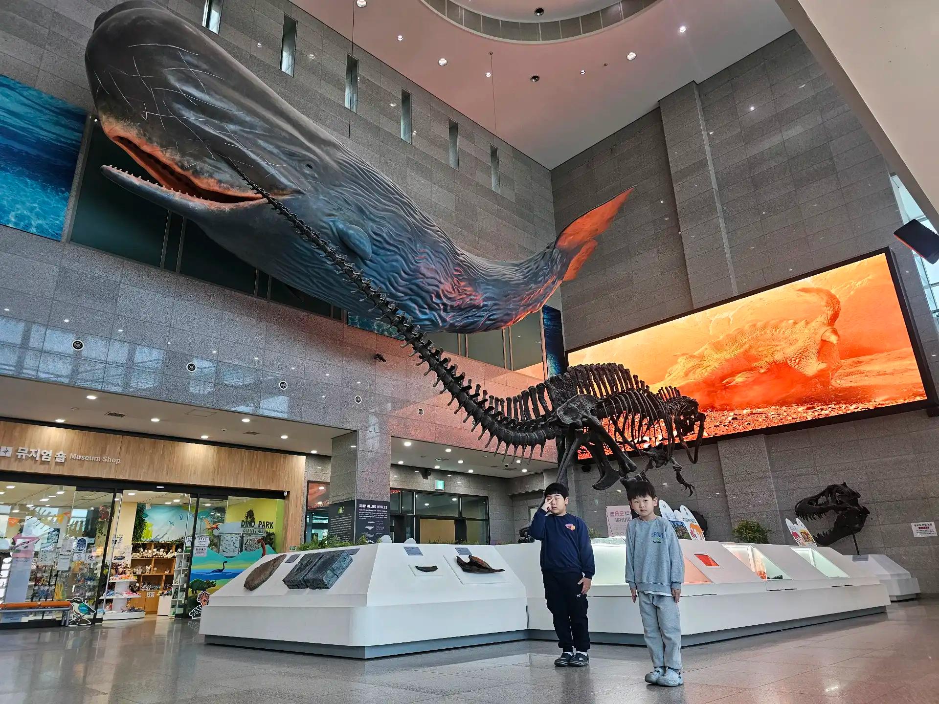 크루톡 이미지 6