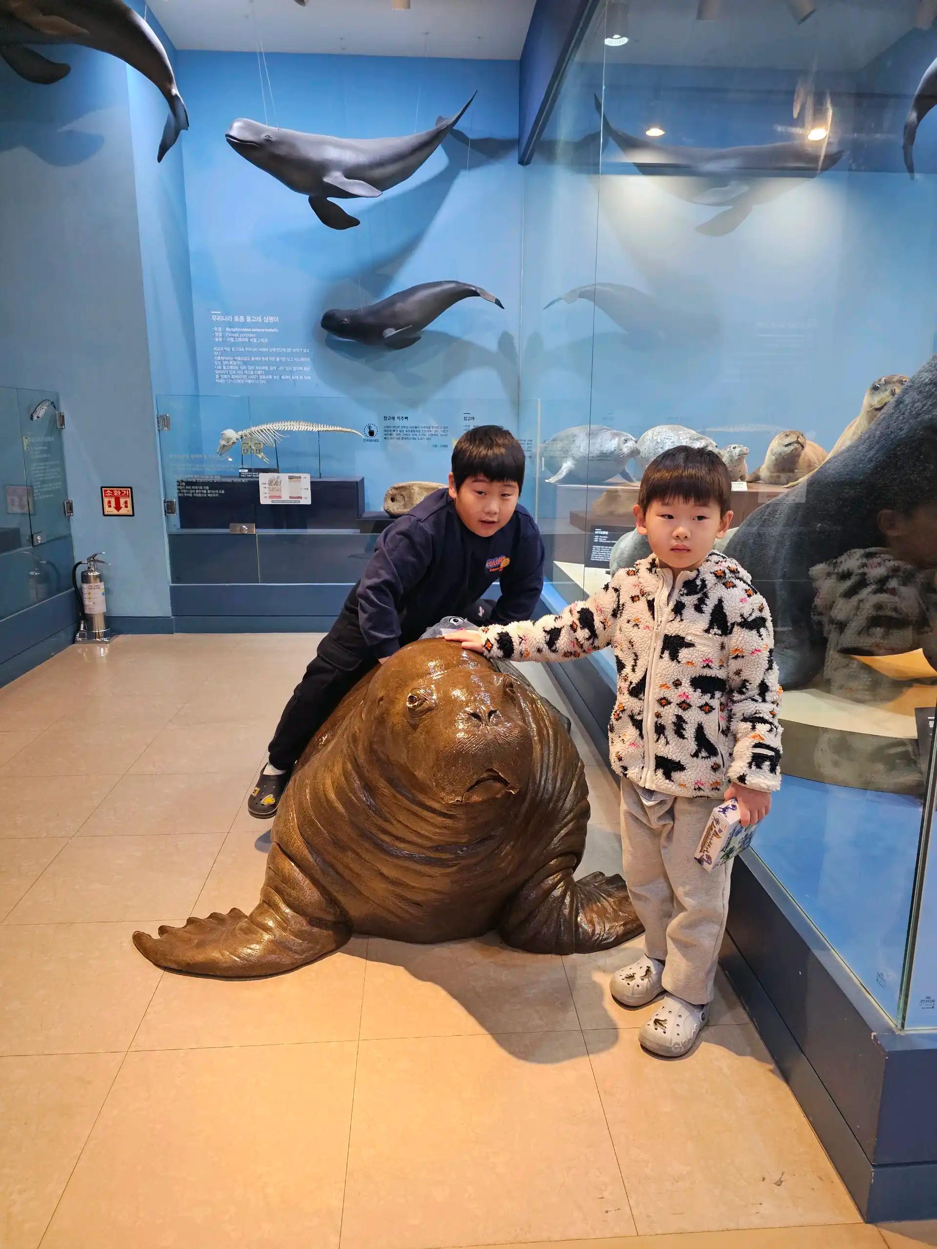 크루톡 이미지 10