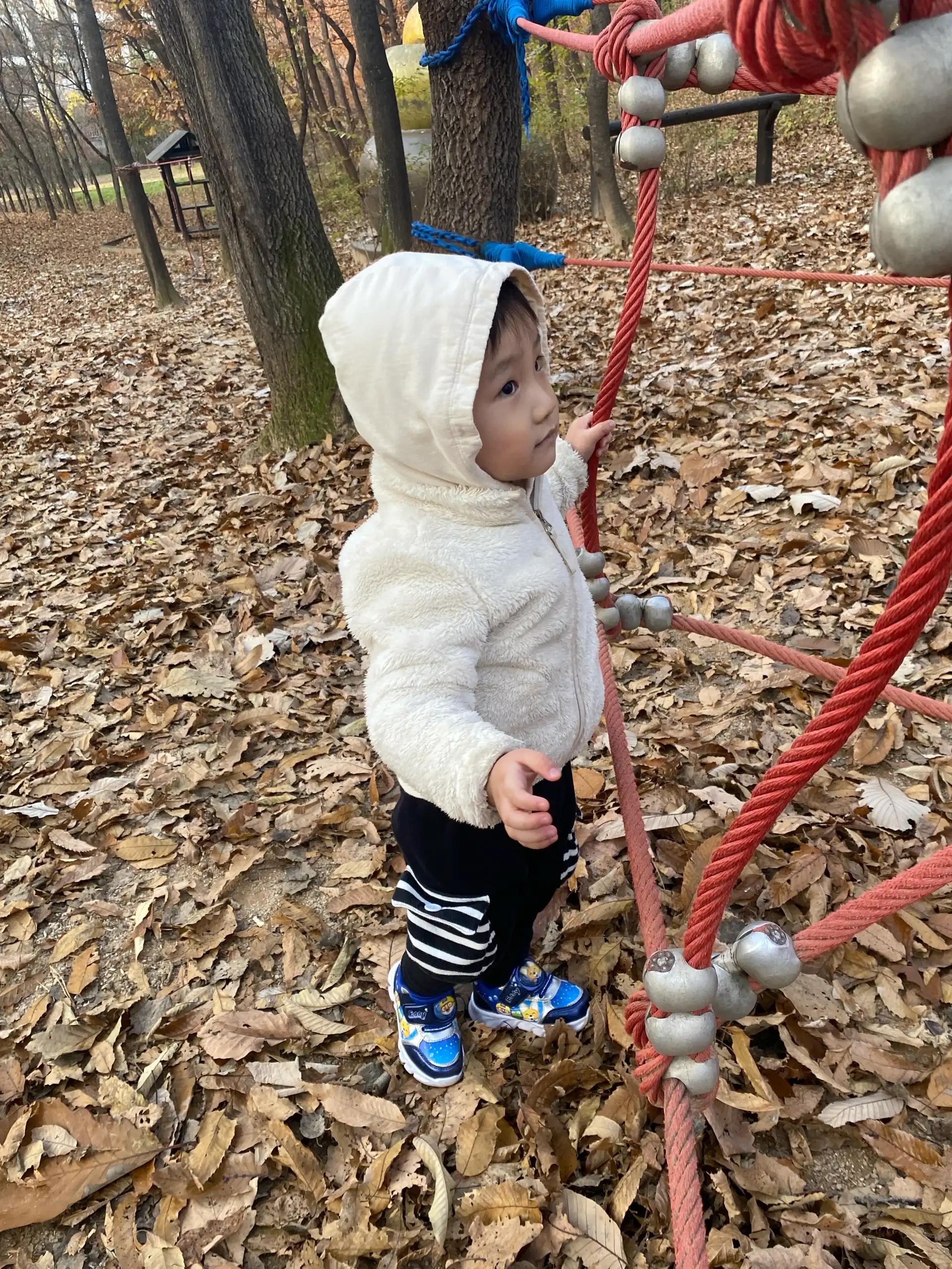 크루톡 이미지 8