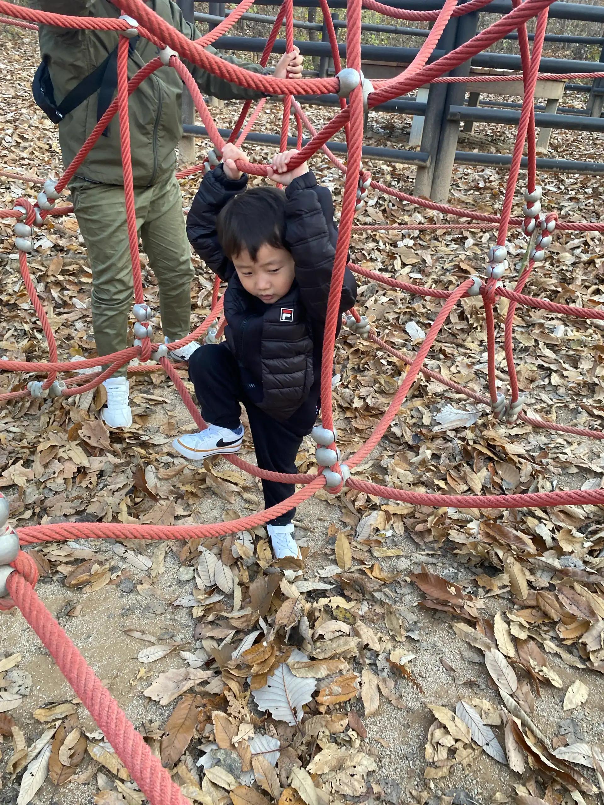 크루톡 이미지 9