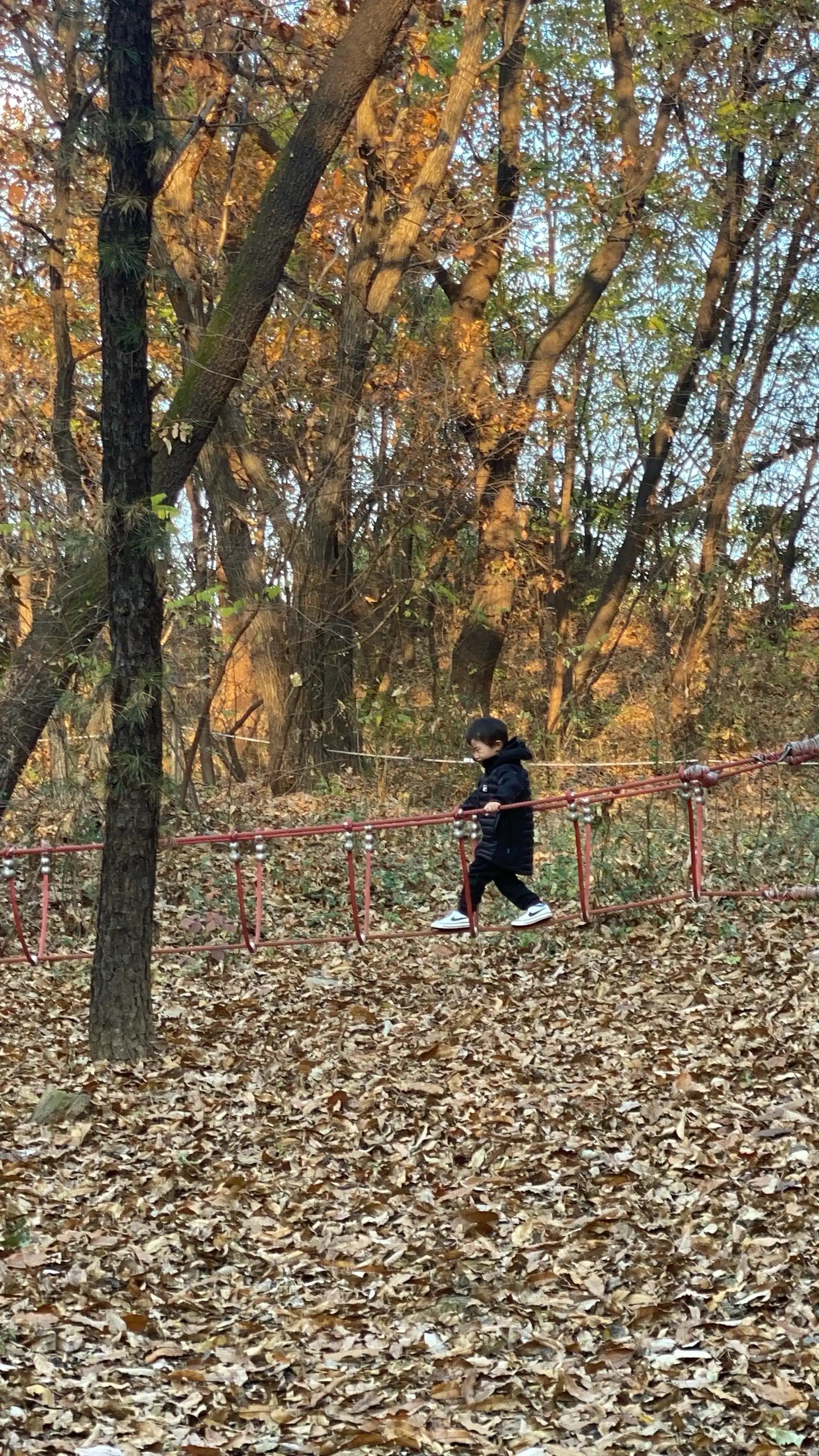 크루톡 이미지 10