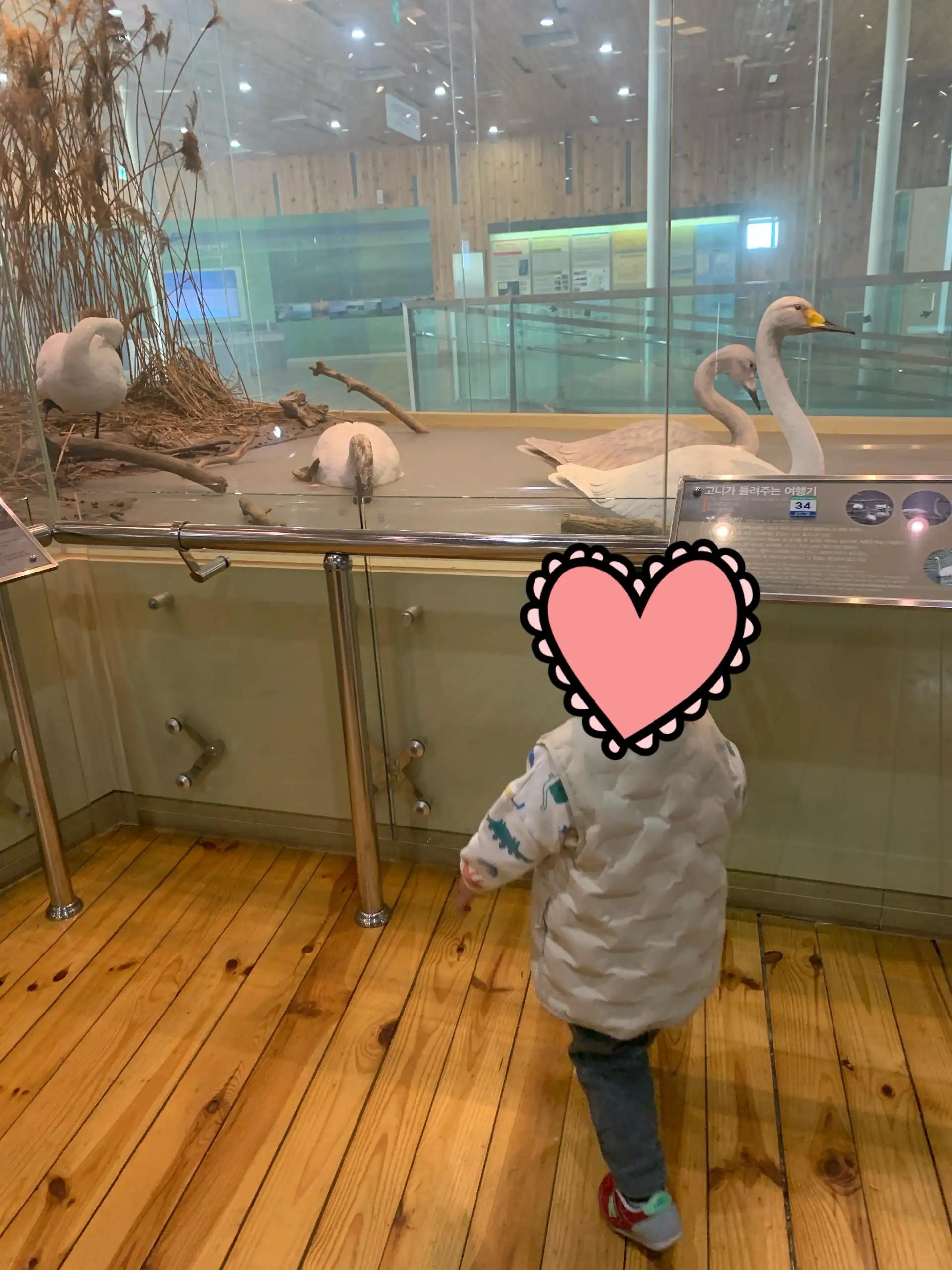 크루톡 이미지 2