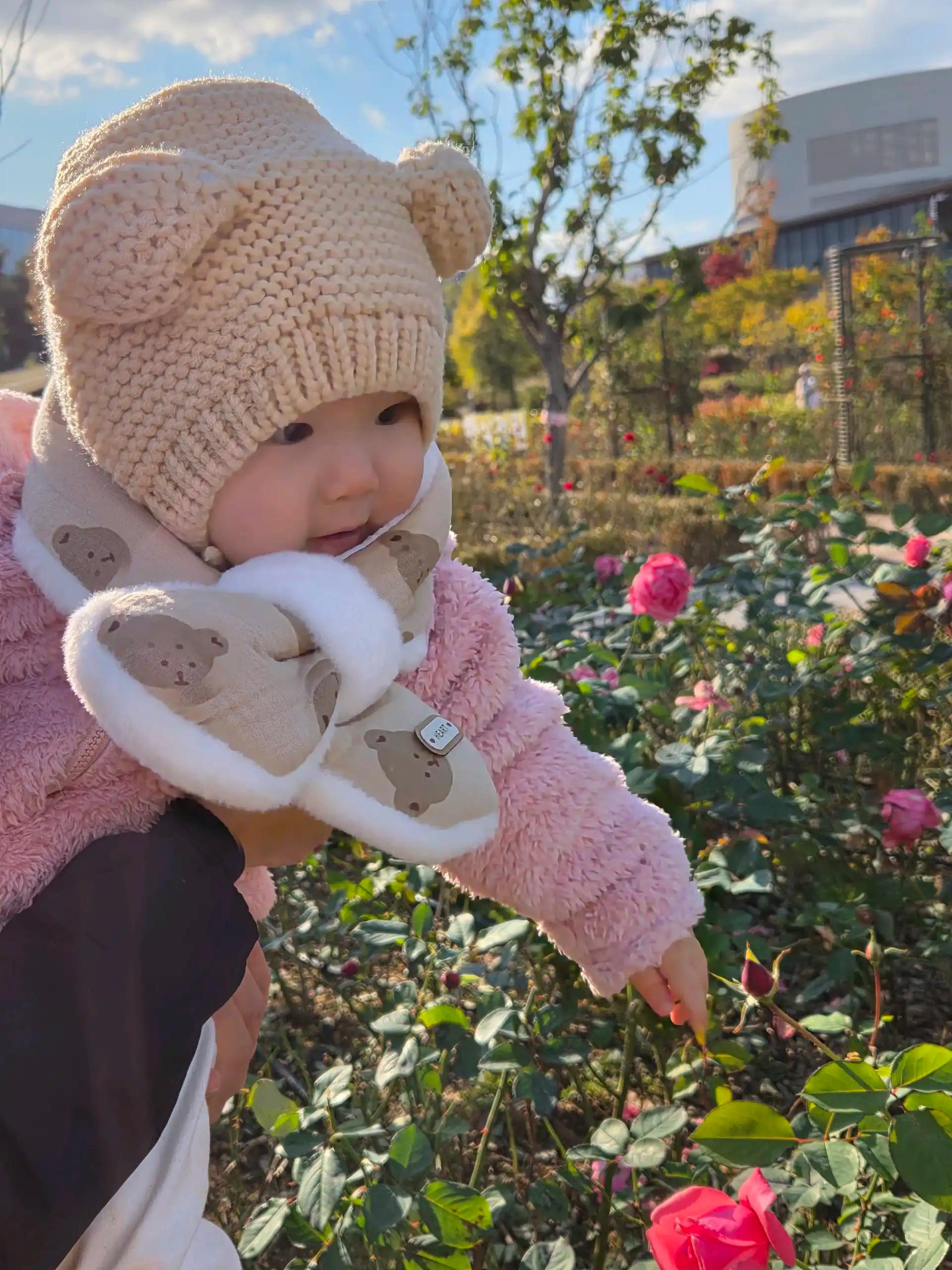 크루톡 이미지 6