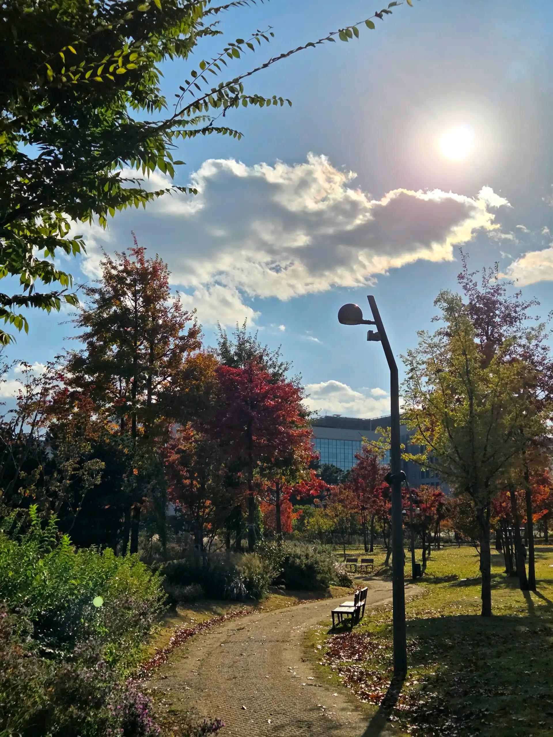 크루톡 이미지 7