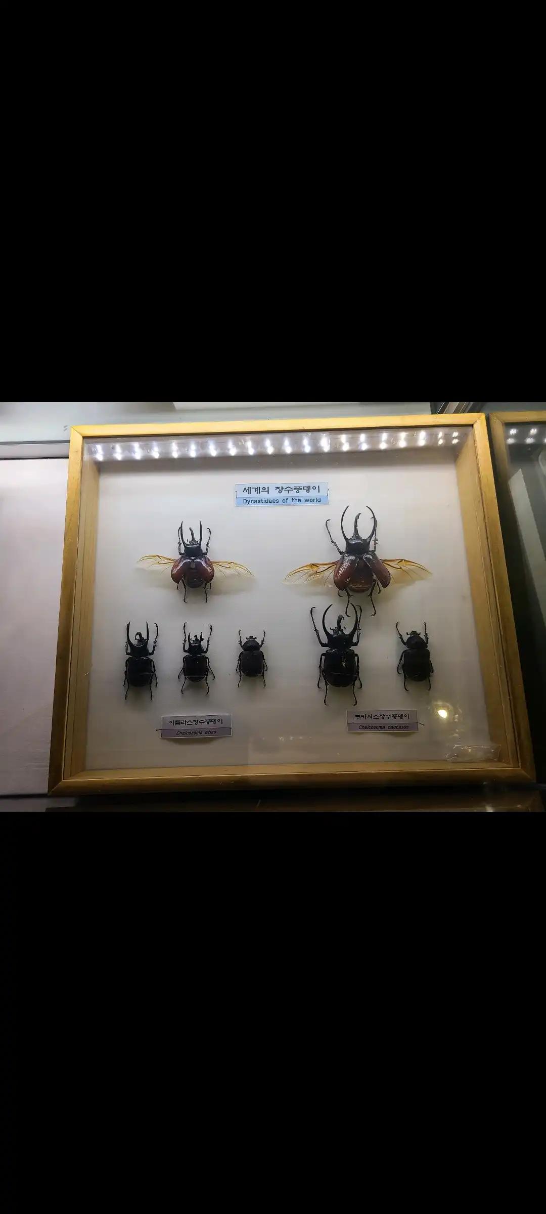 크루톡 이미지 3