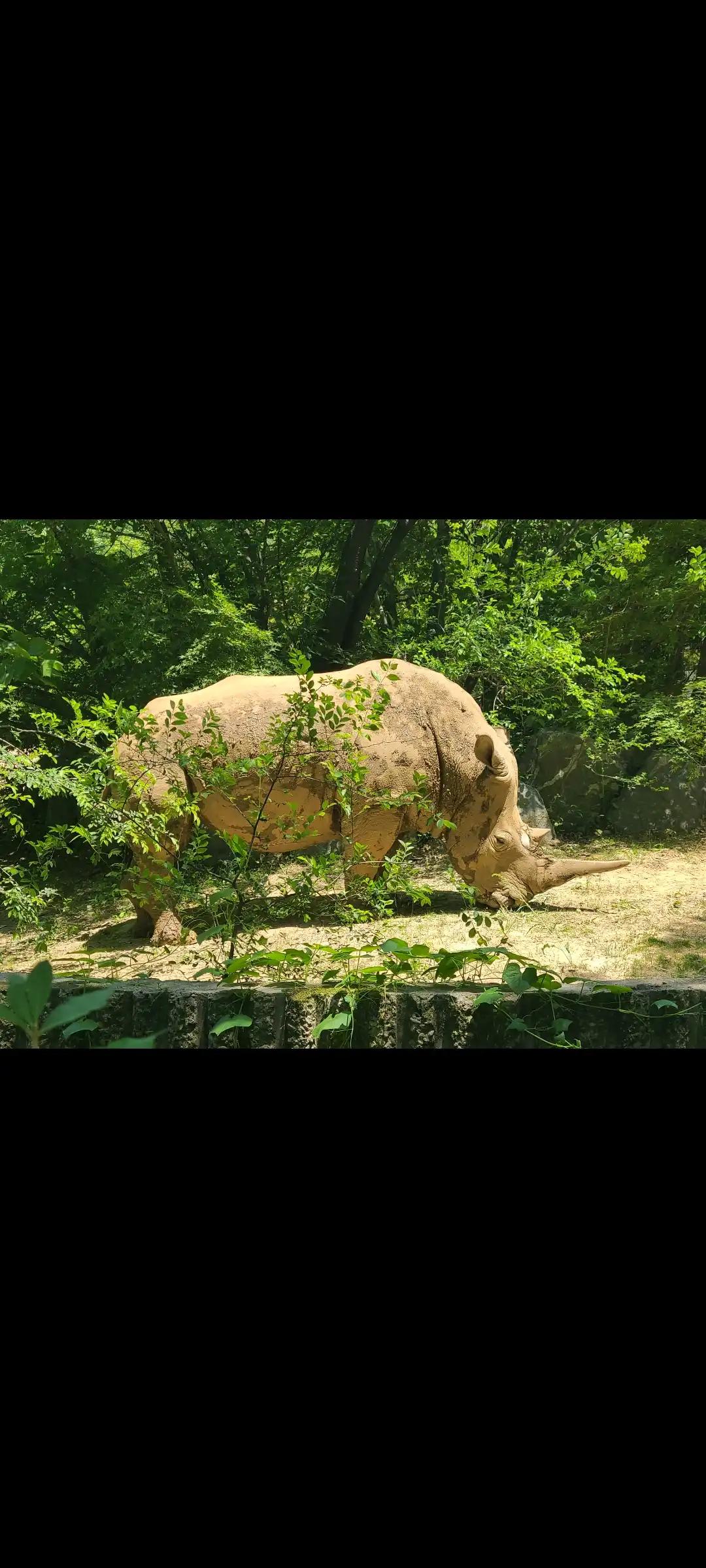 크루톡 이미지 4