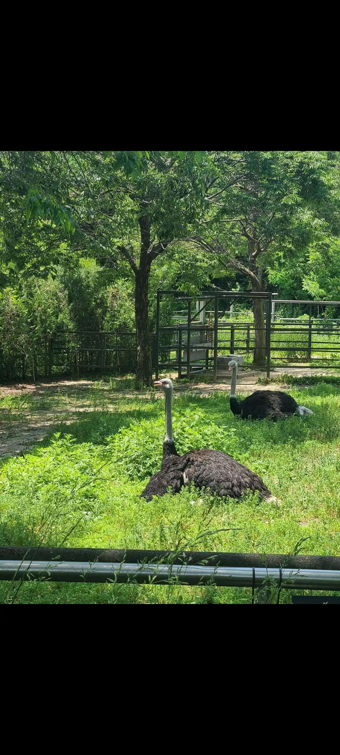 크루톡 이미지 5