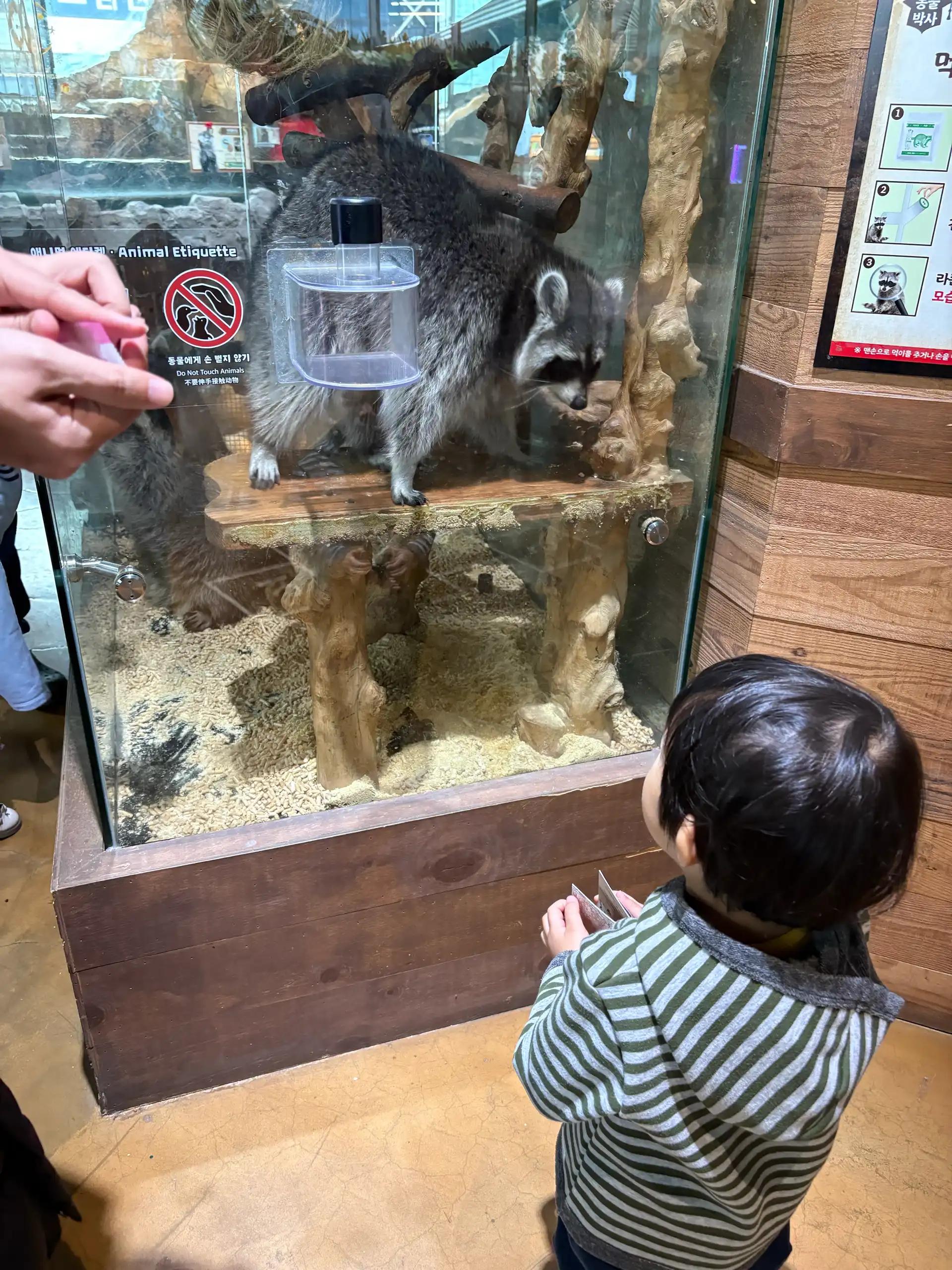 크루톡 이미지 2