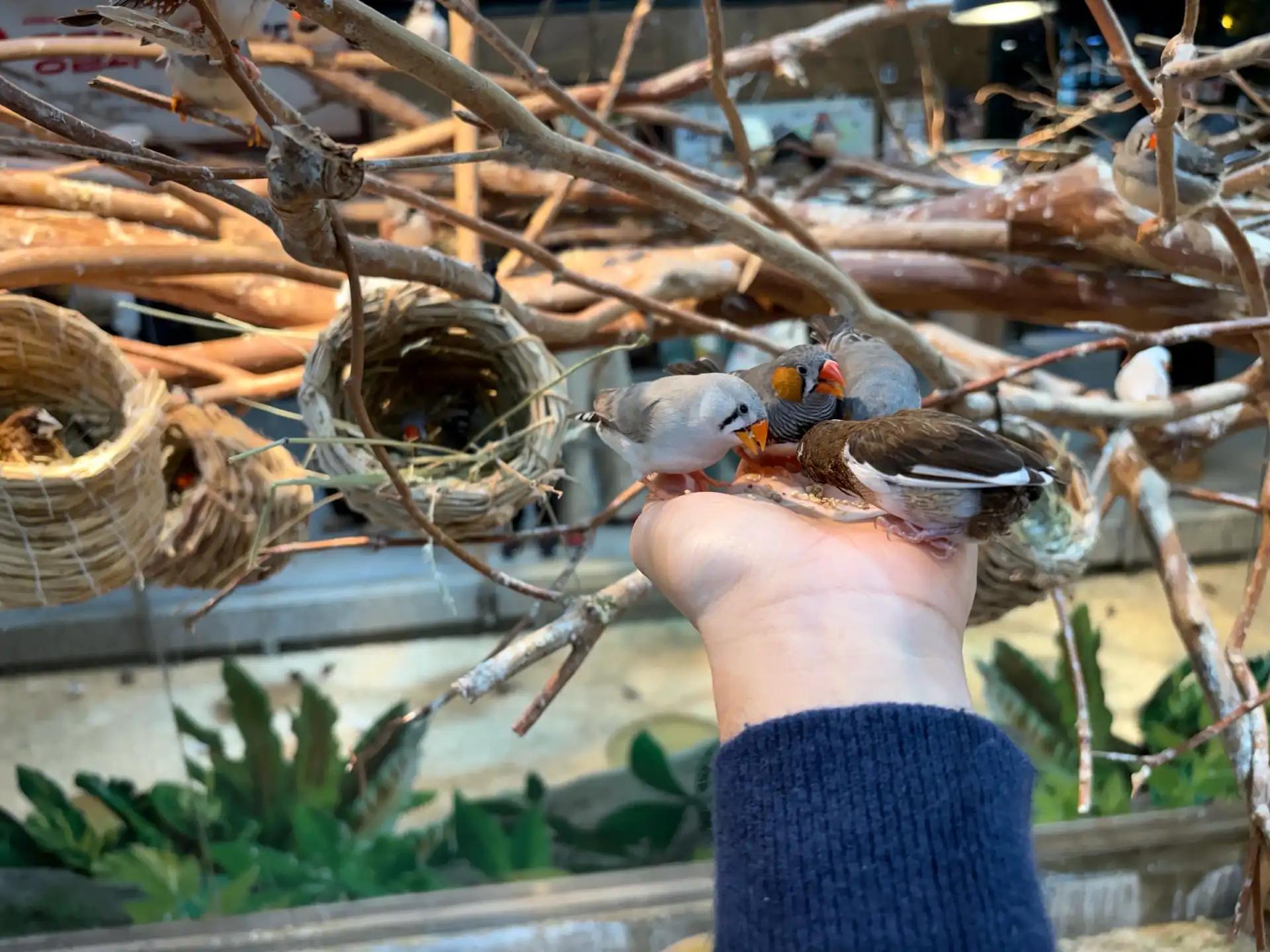 크루톡 이미지 12