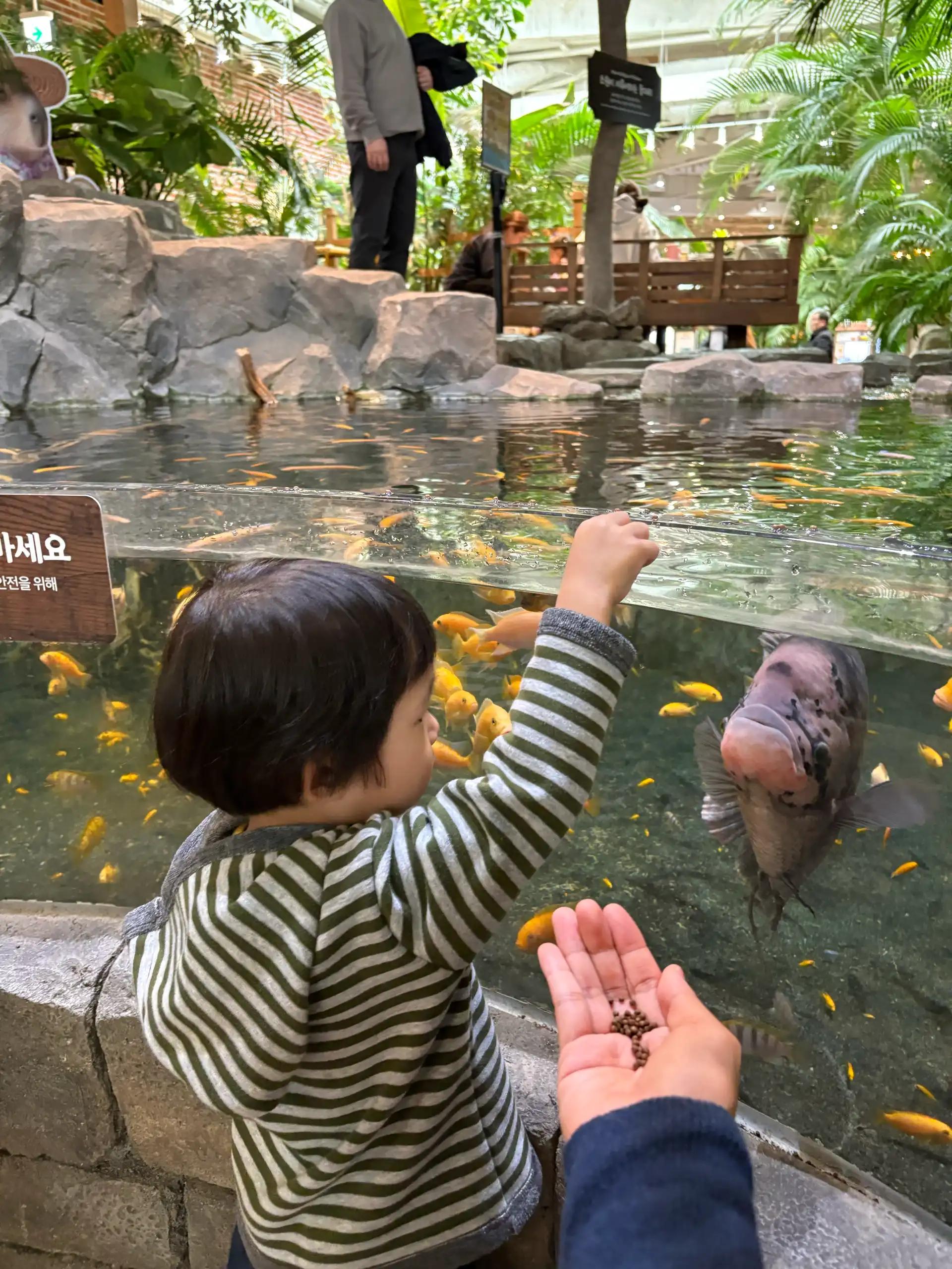 크루톡 이미지 13