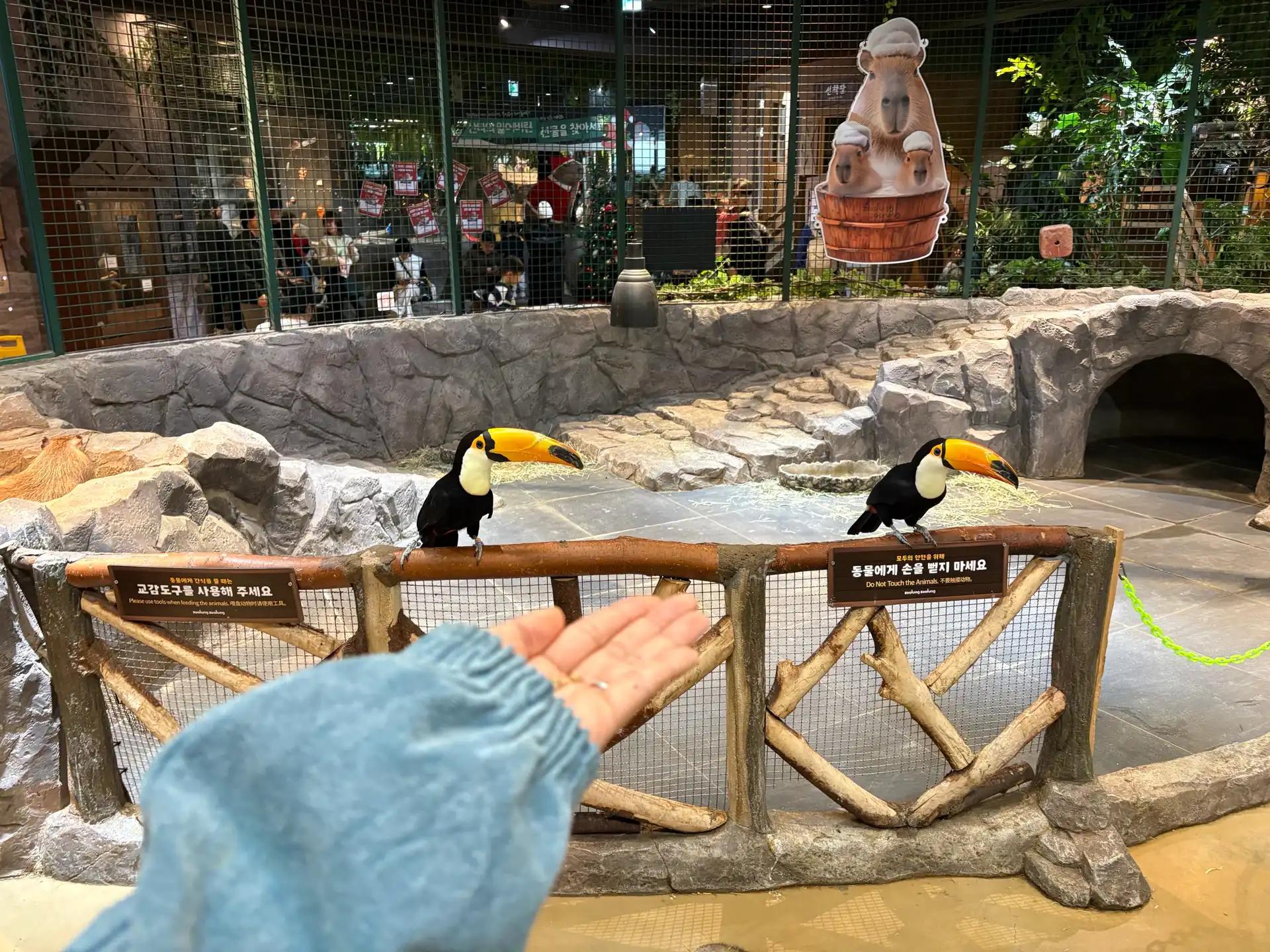 크루톡 이미지 5