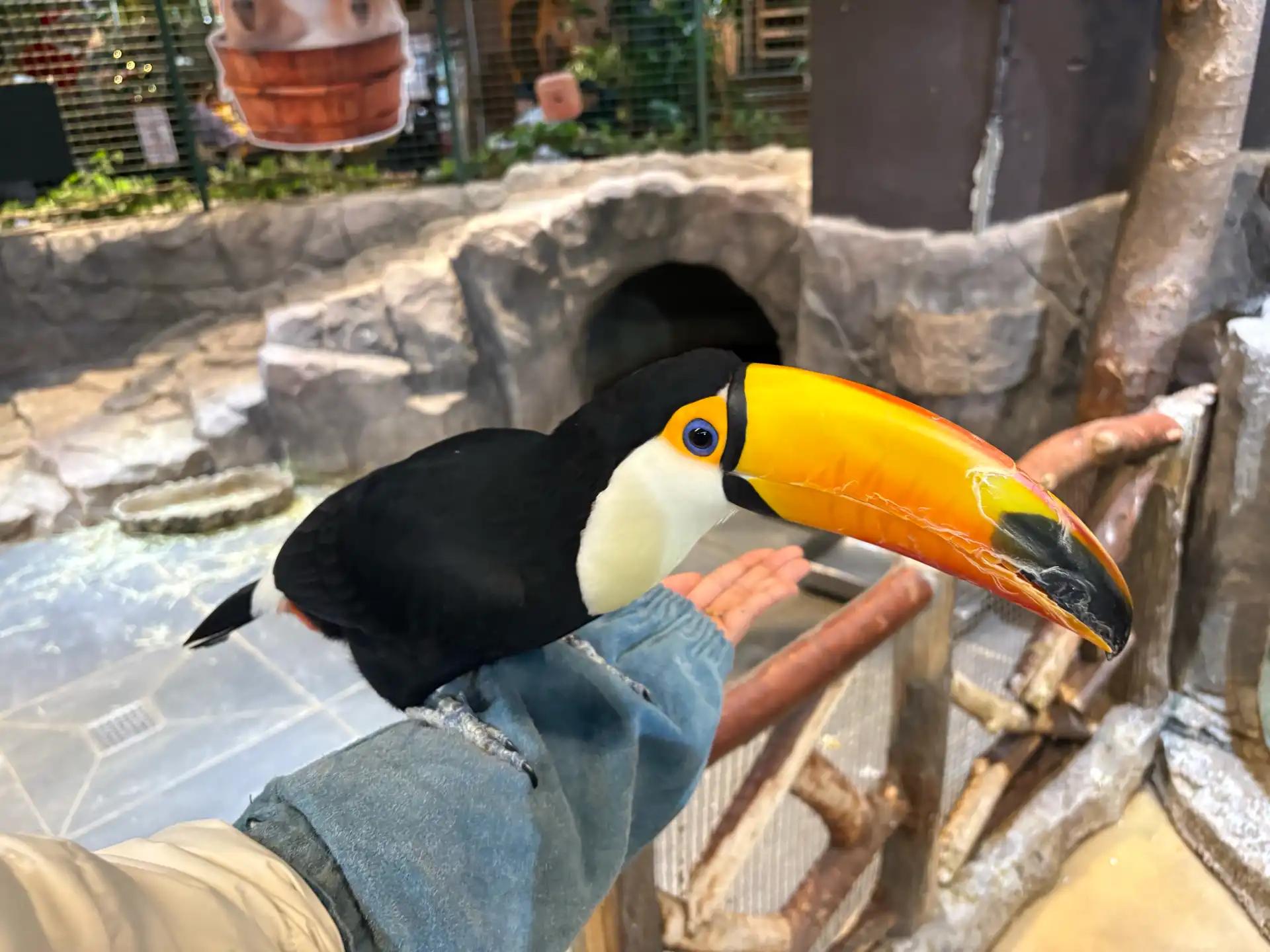 크루톡 이미지 6