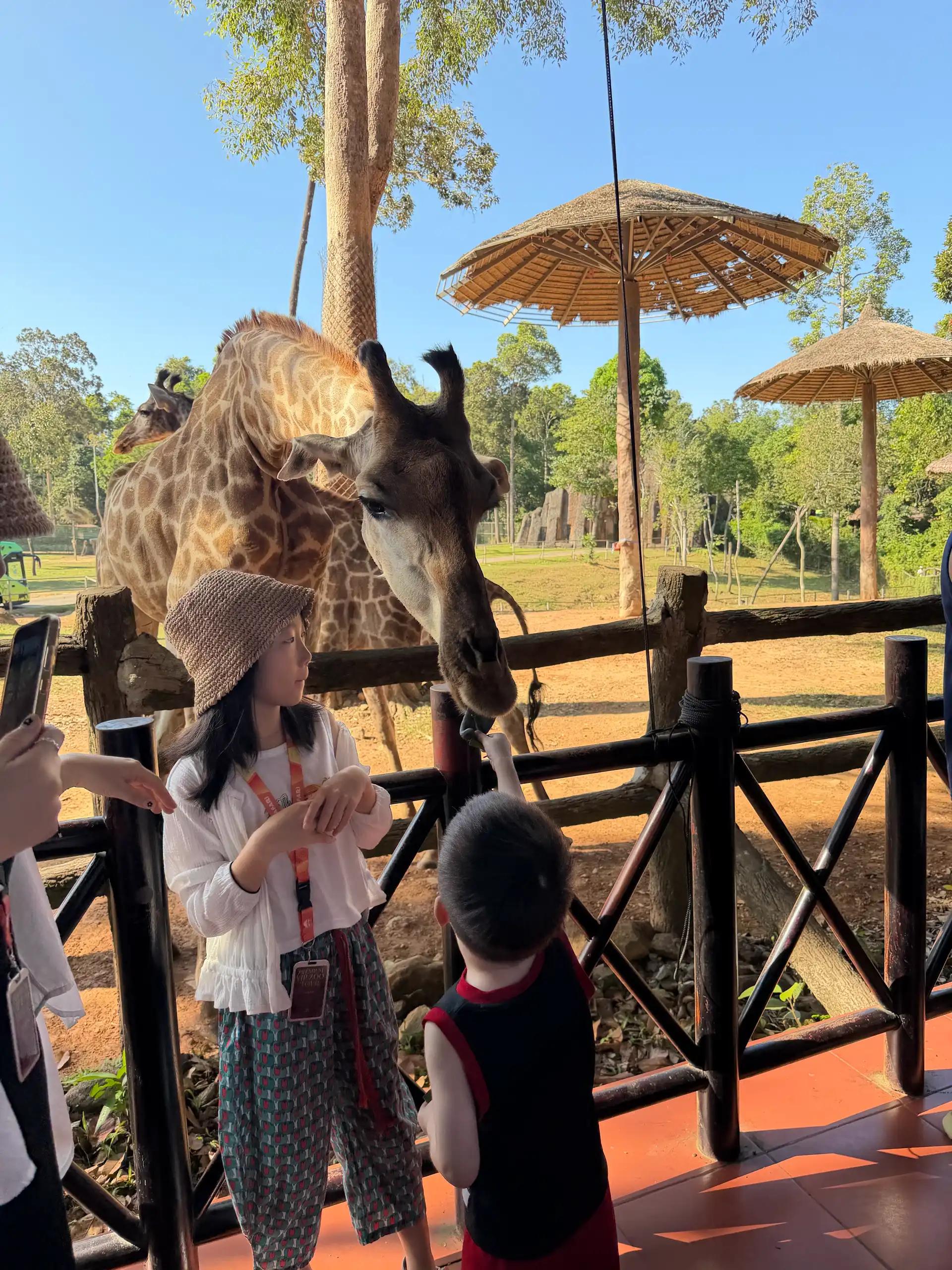 크루톡 이미지 2