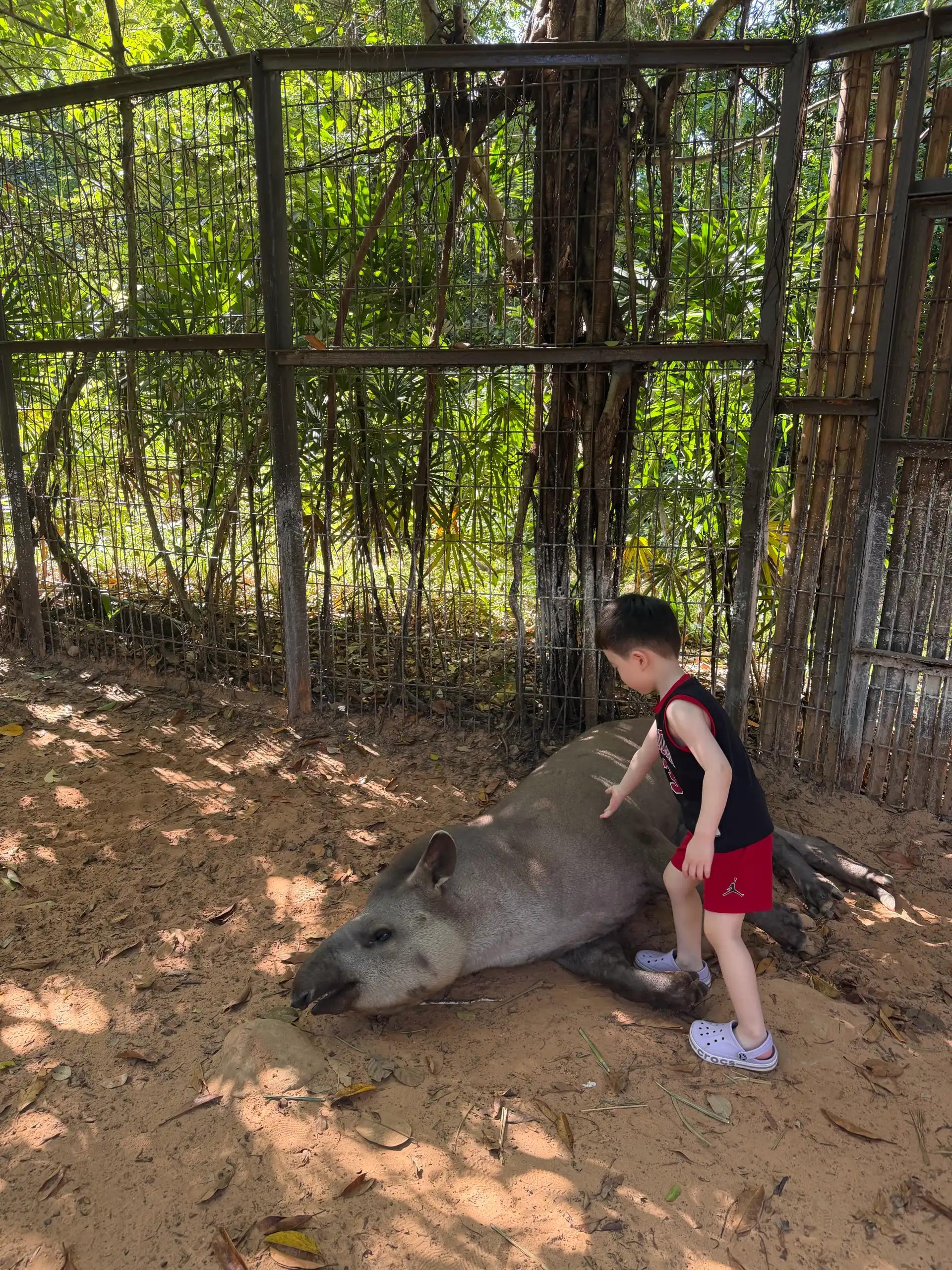 크루톡 이미지 4