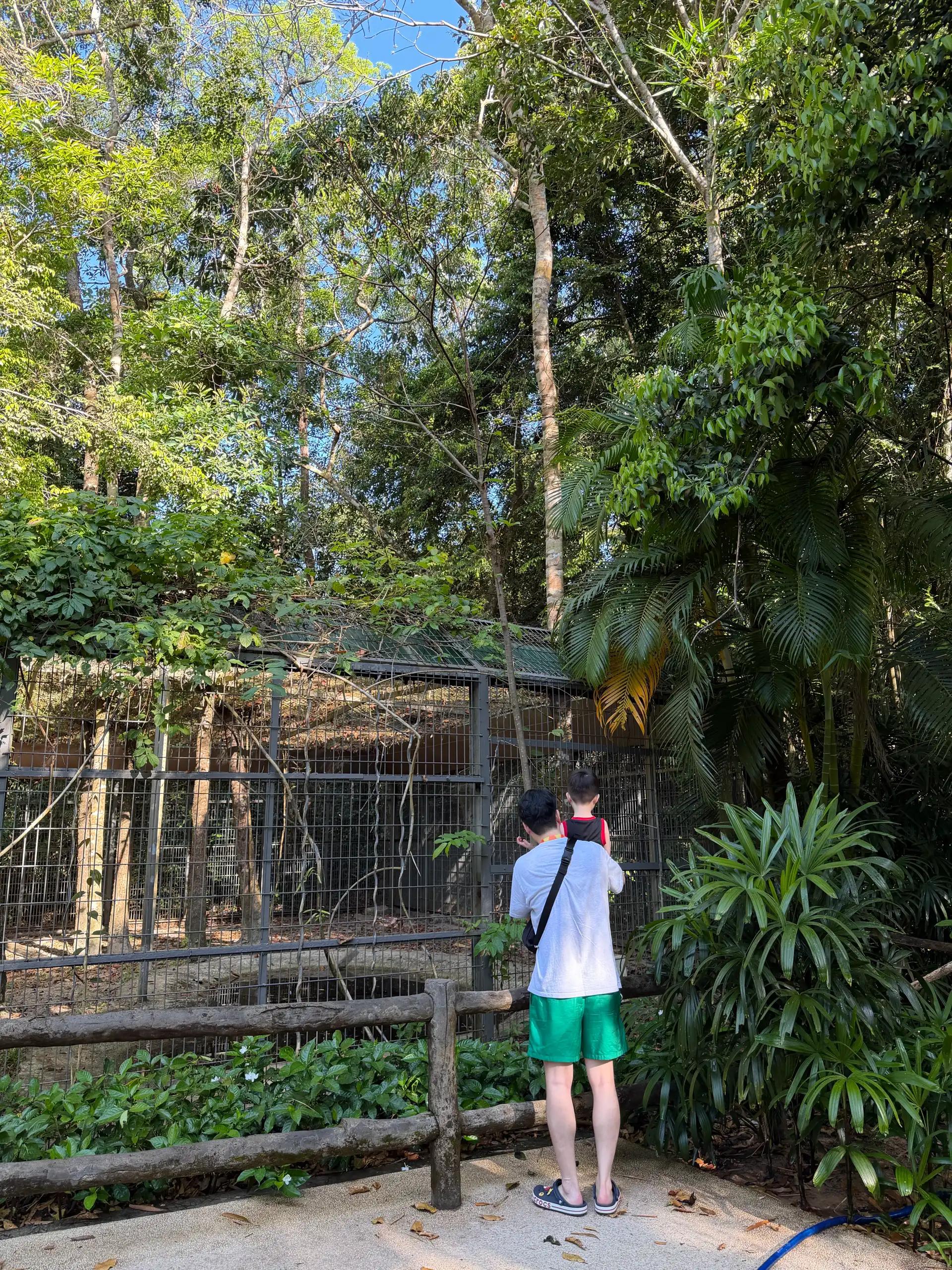 크루톡 이미지 6