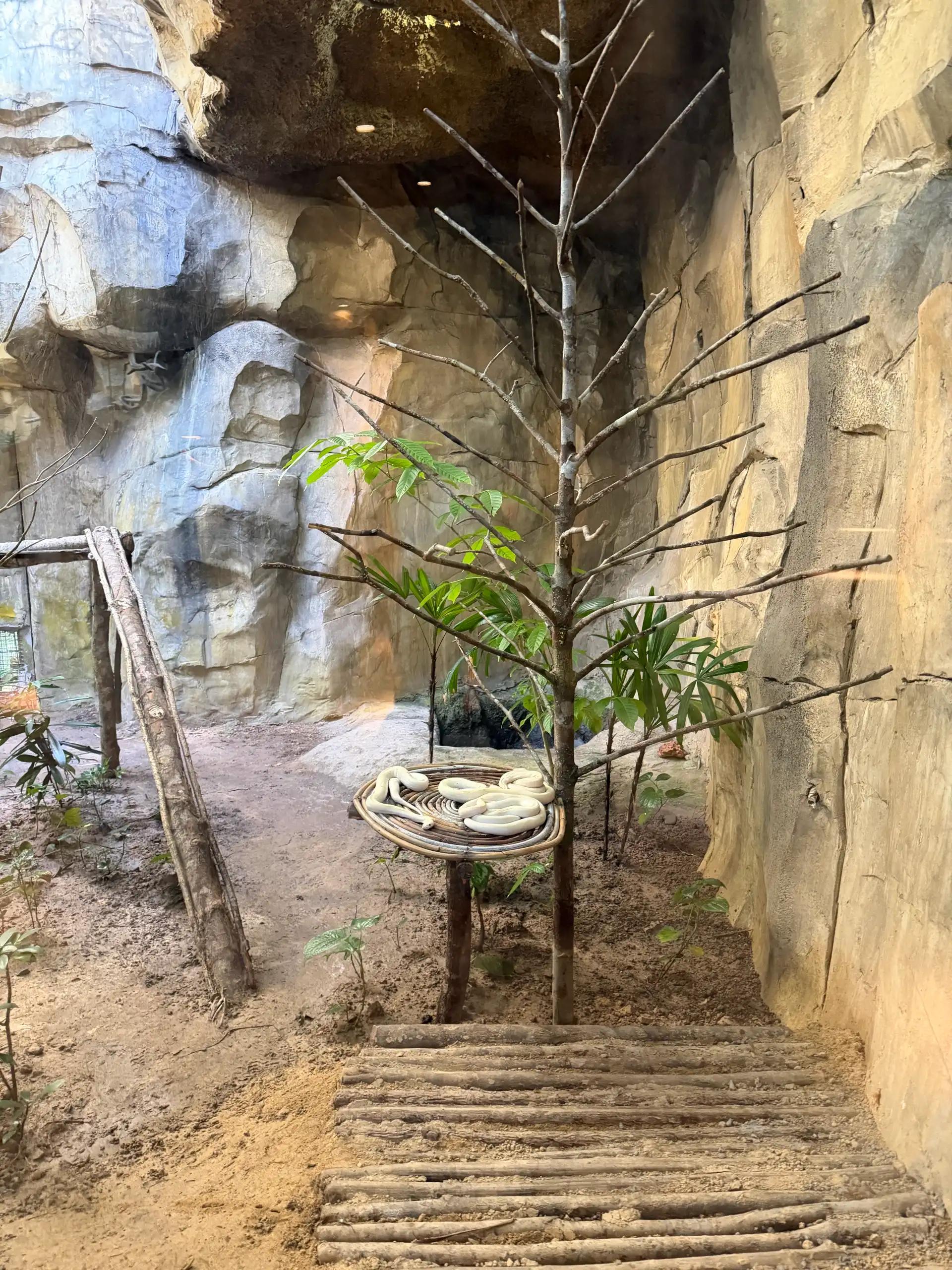 크루톡 이미지 7