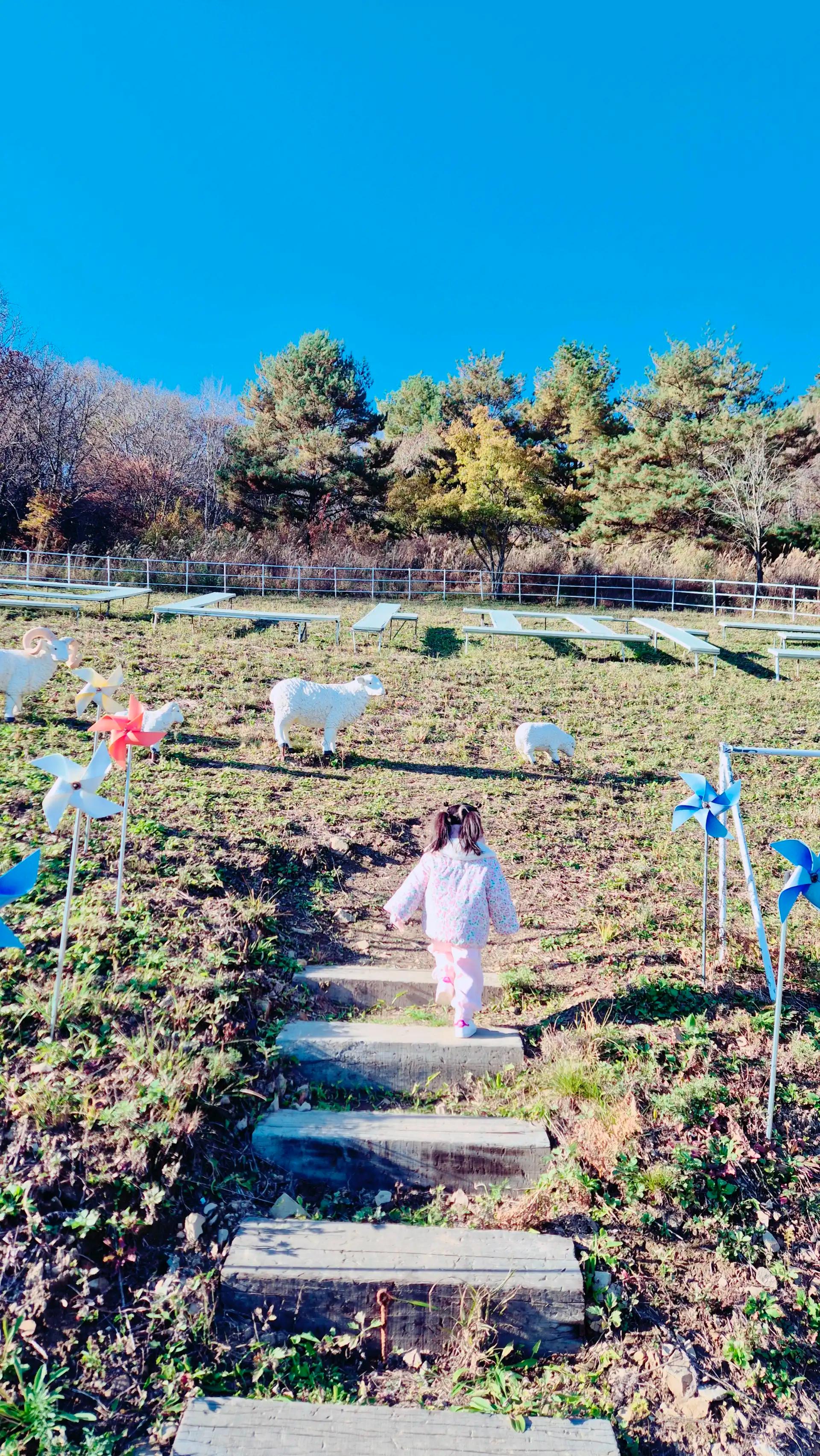 크루톡 이미지 2