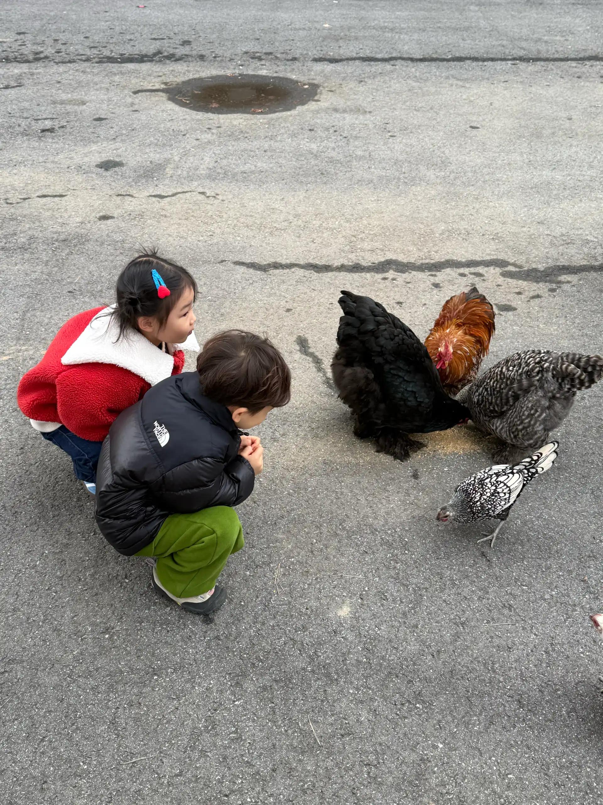 크루톡 이미지 2