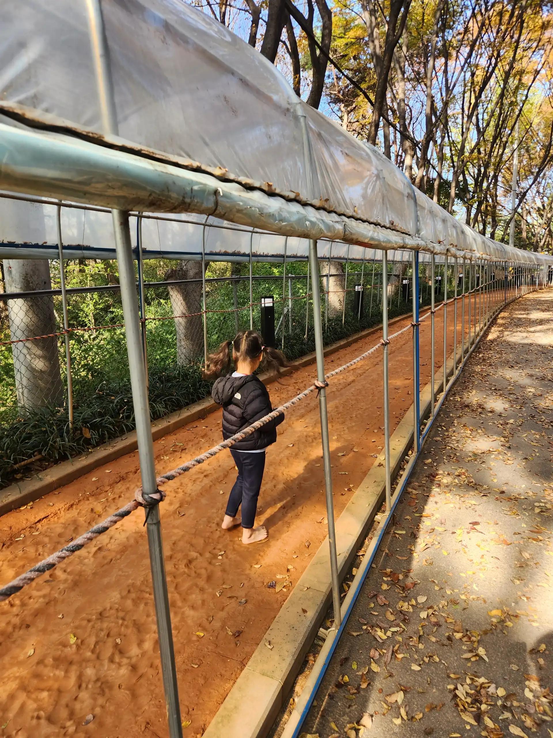 크루톡 이미지 2