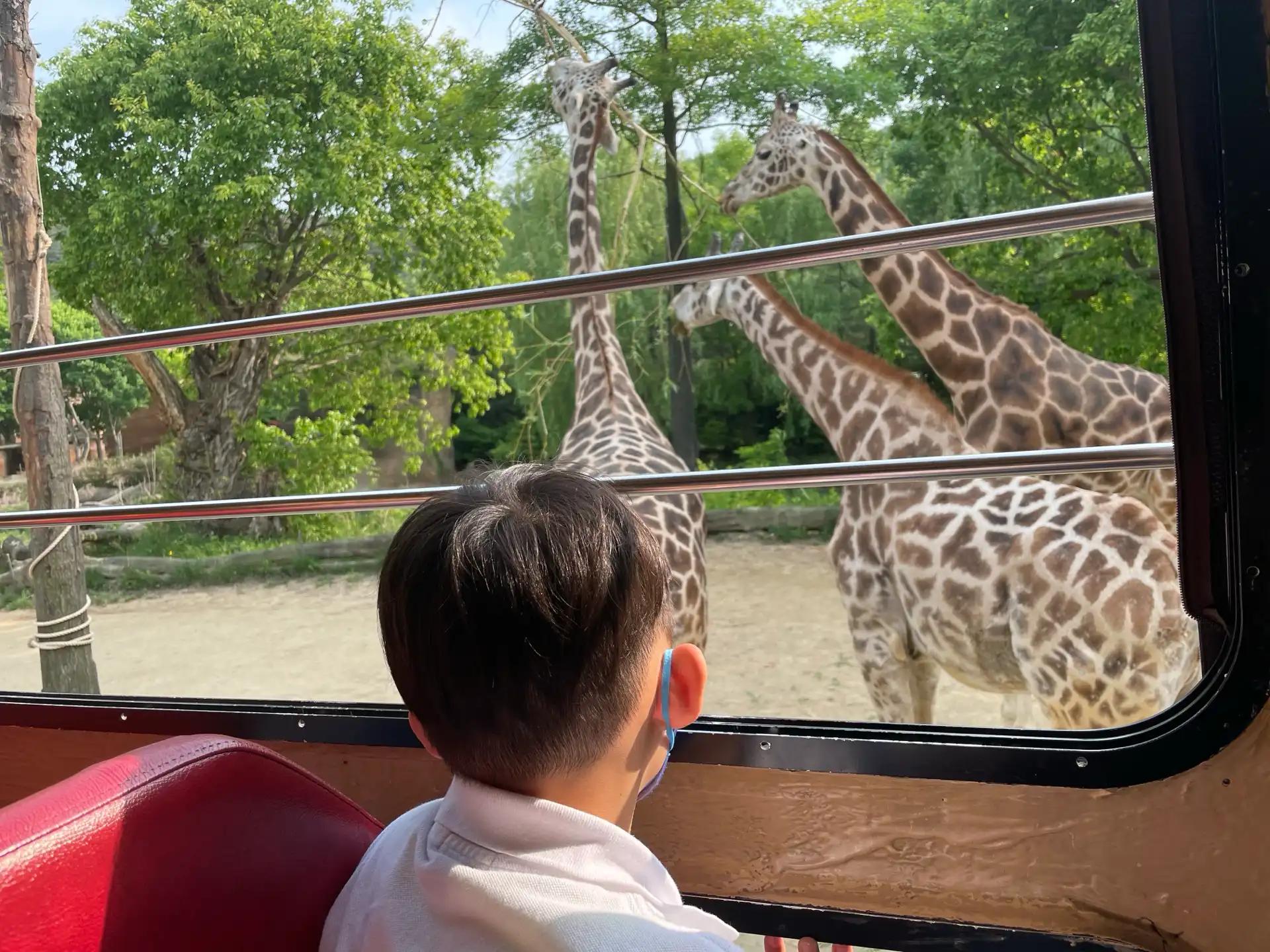 크루톡 이미지 2