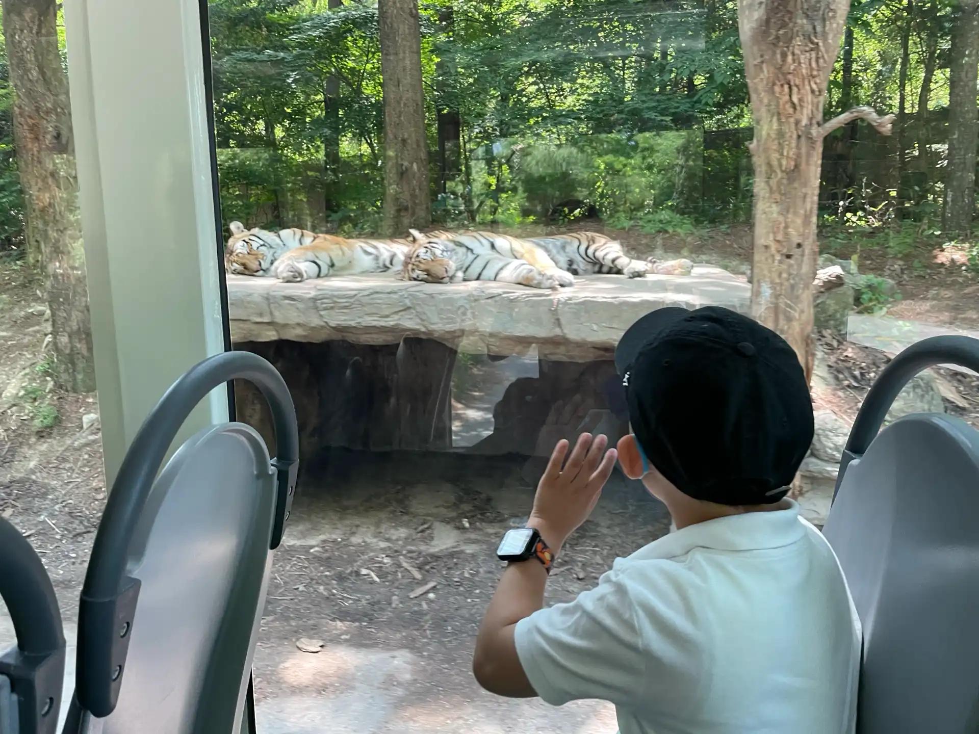 크루톡 이미지 5