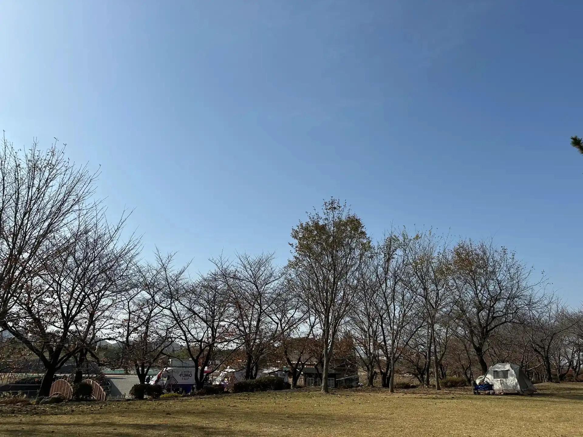 크루톡 이미지 2